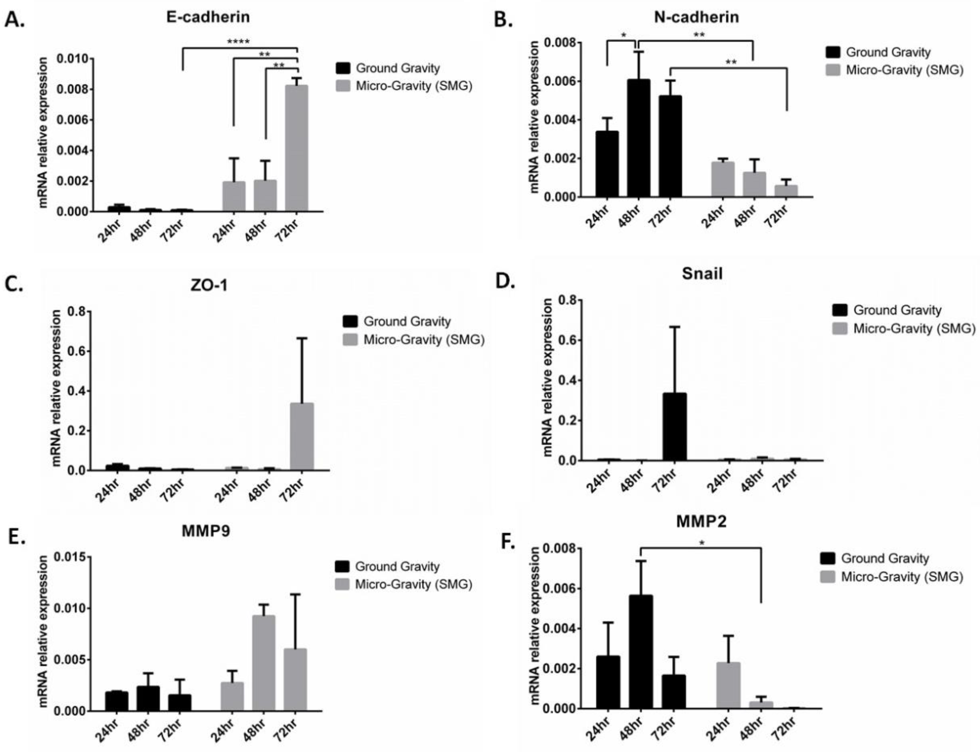 Ijms 24 00155 g006 Ijms 24 00155 g006
