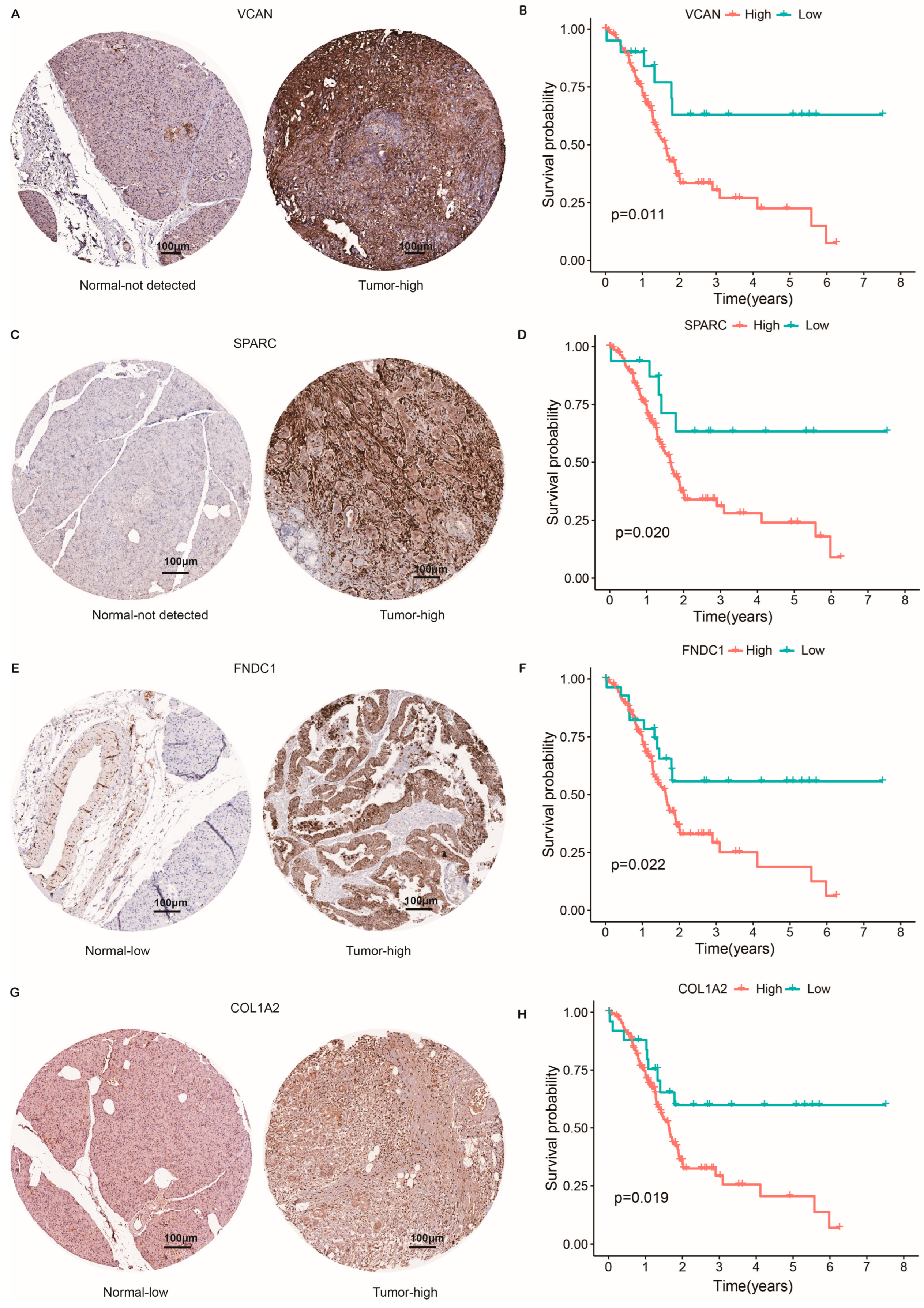 Ijms 24 00156 g007 Ijms 24 00156 g007