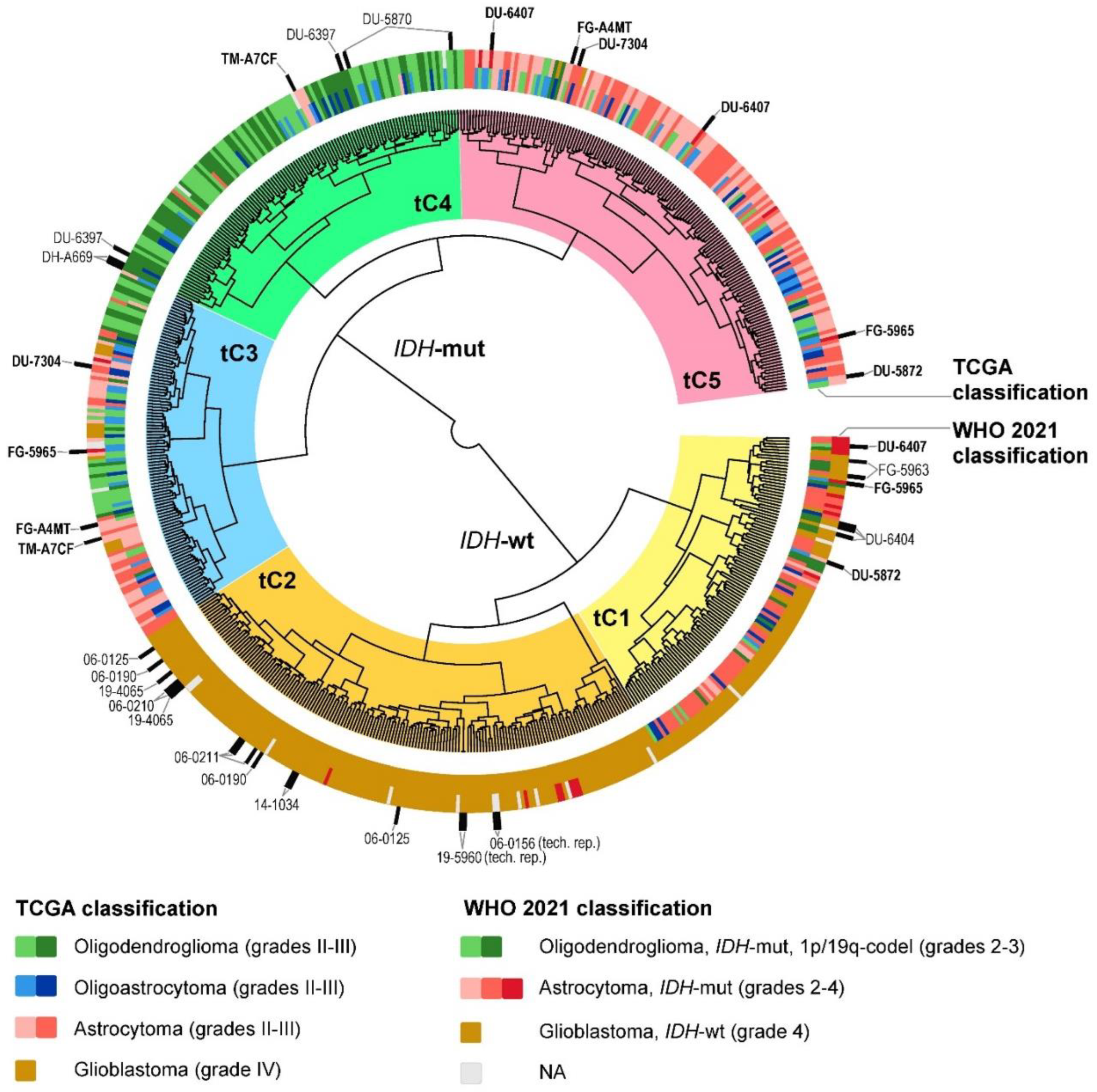 Ijms 24 00157 g004 Ijms 24 00157 g004