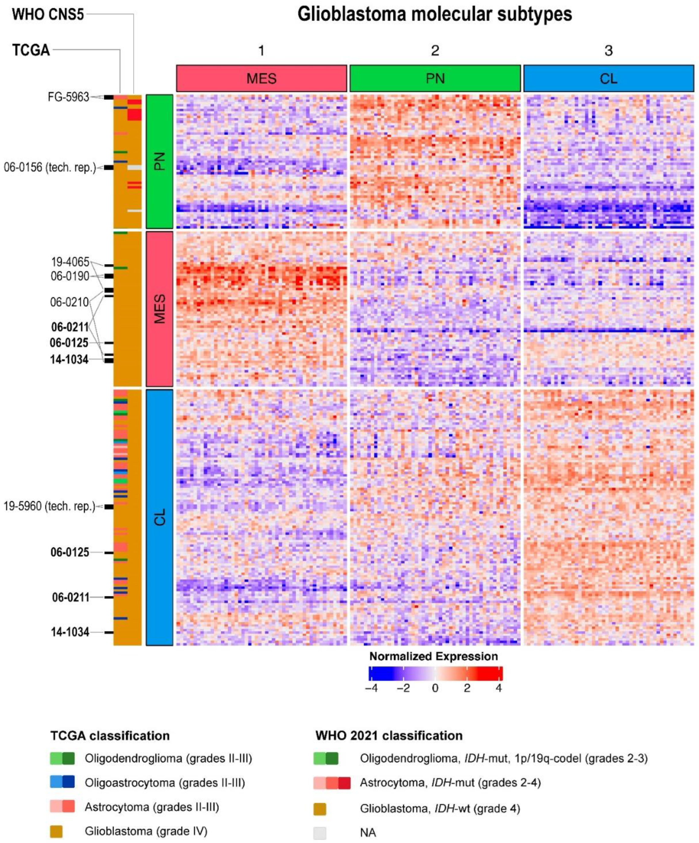 Ijms 24 00157 g006 Ijms 24 00157 g006