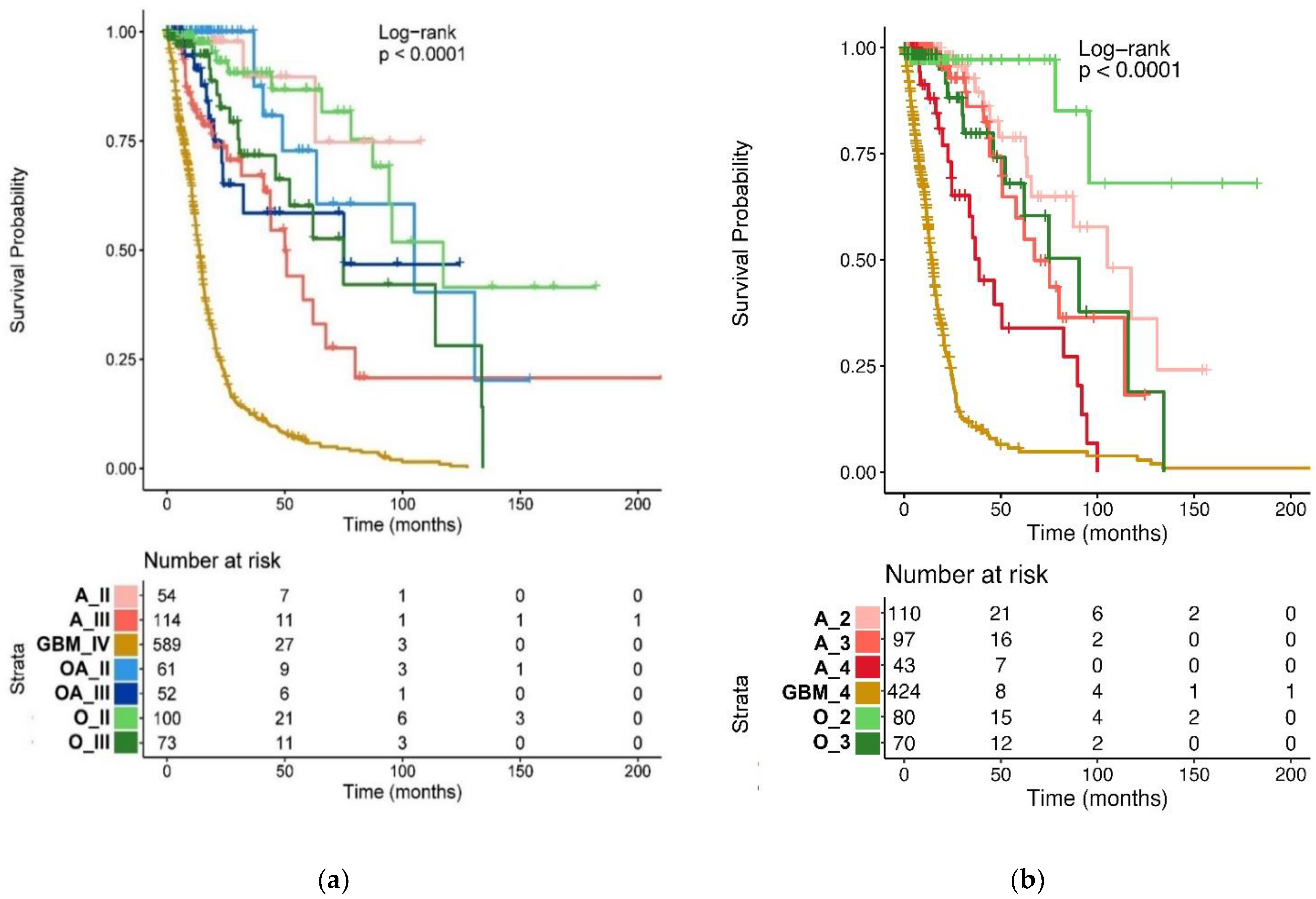 Ijms 24 00157 g007 Ijms 24 00157 g007