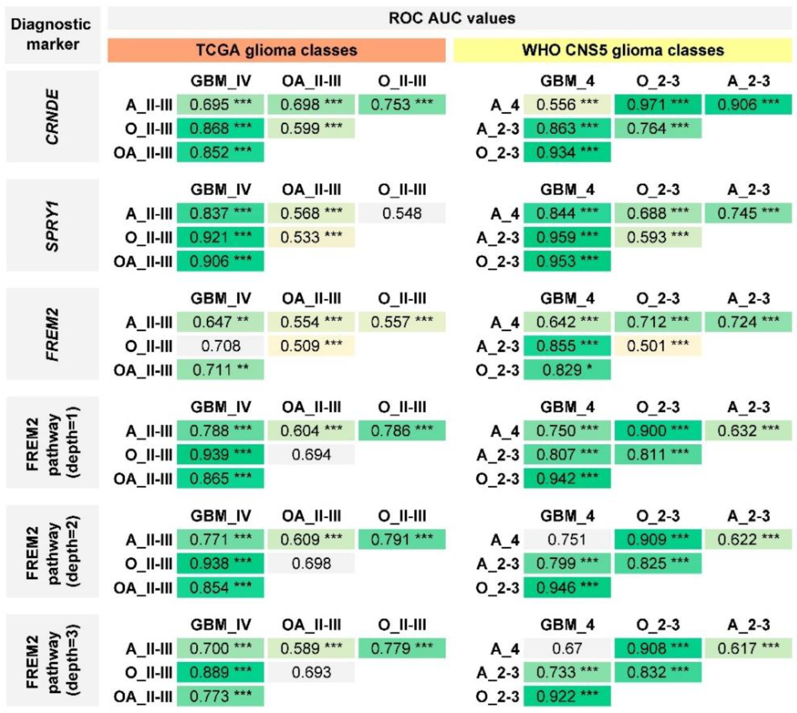 Ijms 24 00157 g010 Ijms 24 00157 g010