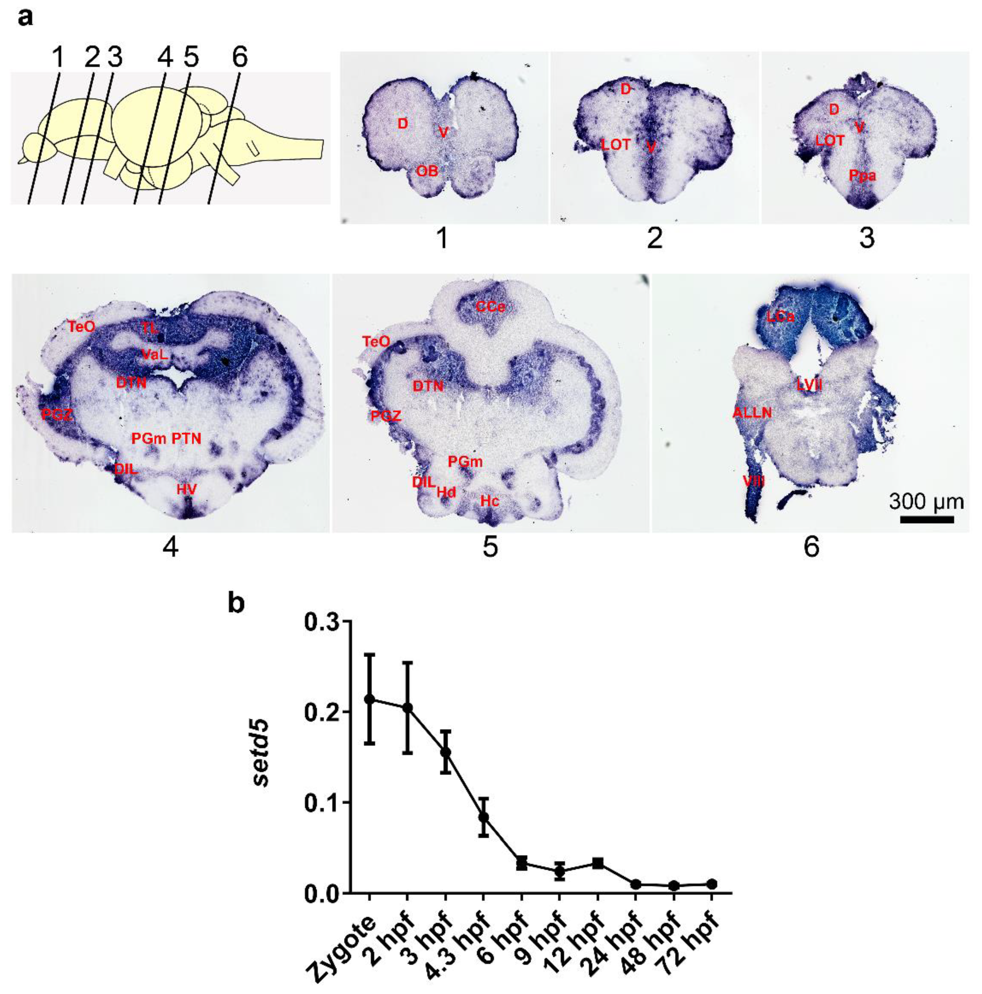 Ijms 24 00167 g001 Ijms 24 00167 g001