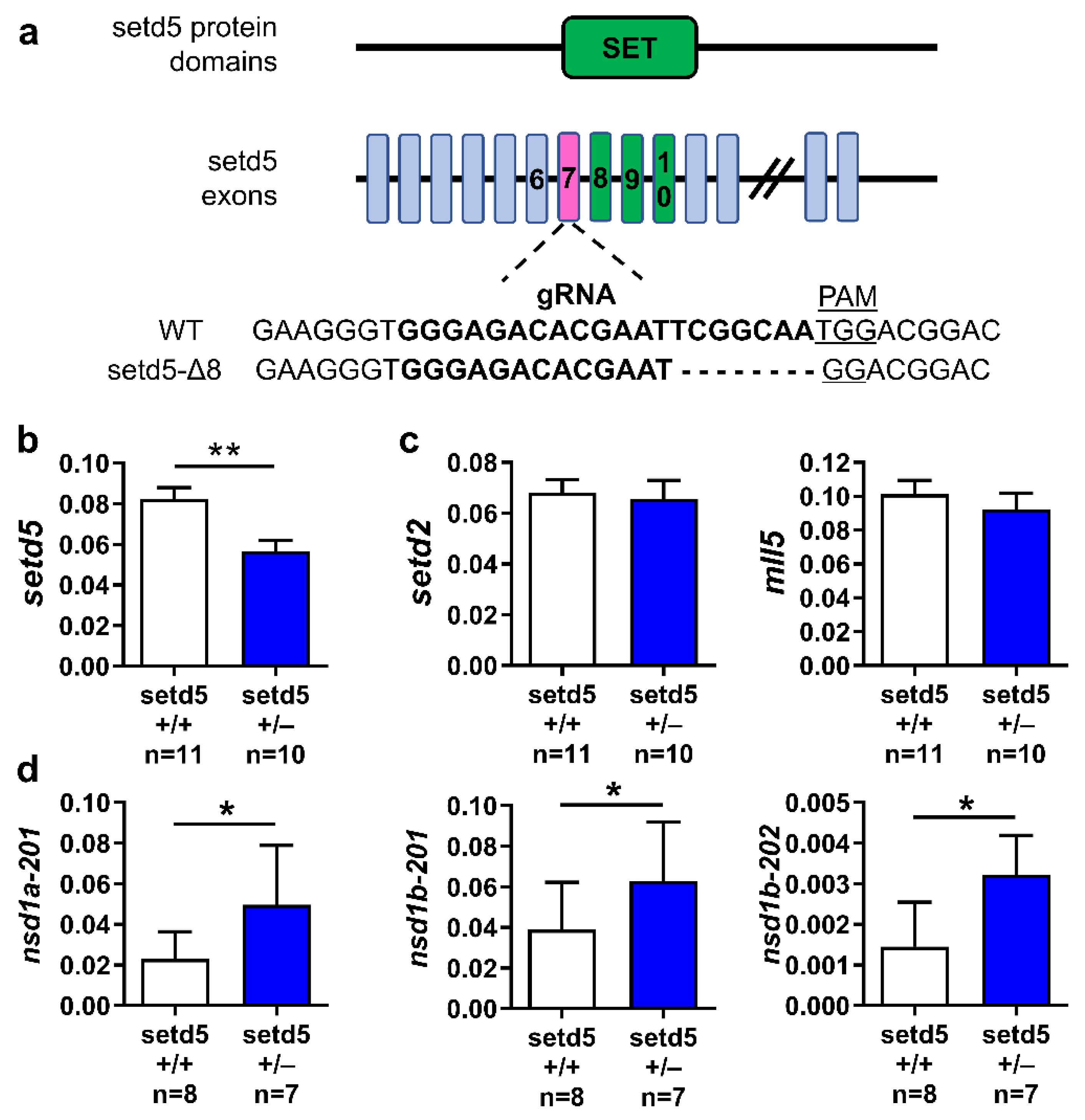 Ijms 24 00167 g002 Ijms 24 00167 g002
