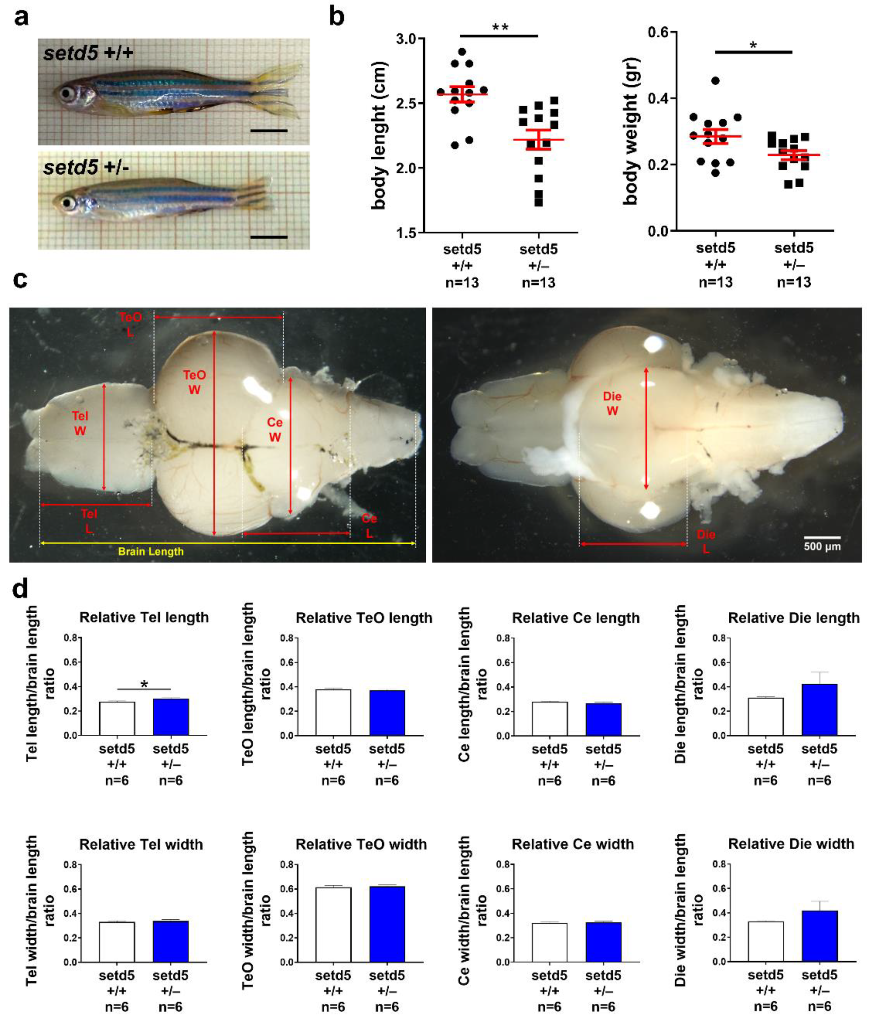 Ijms 24 00167 g003 Ijms 24 00167 g003
