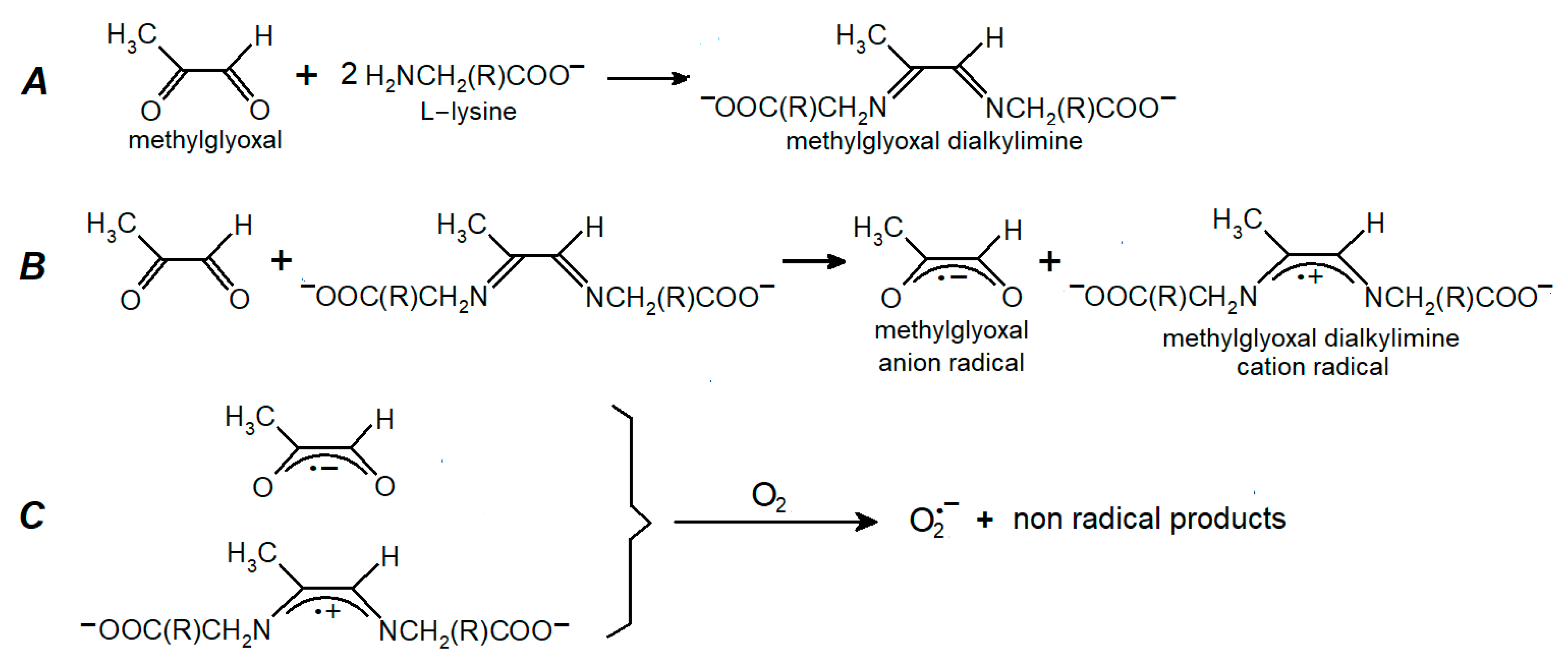 Ijms 24 00168 g002 Ijms 24 00168 g002