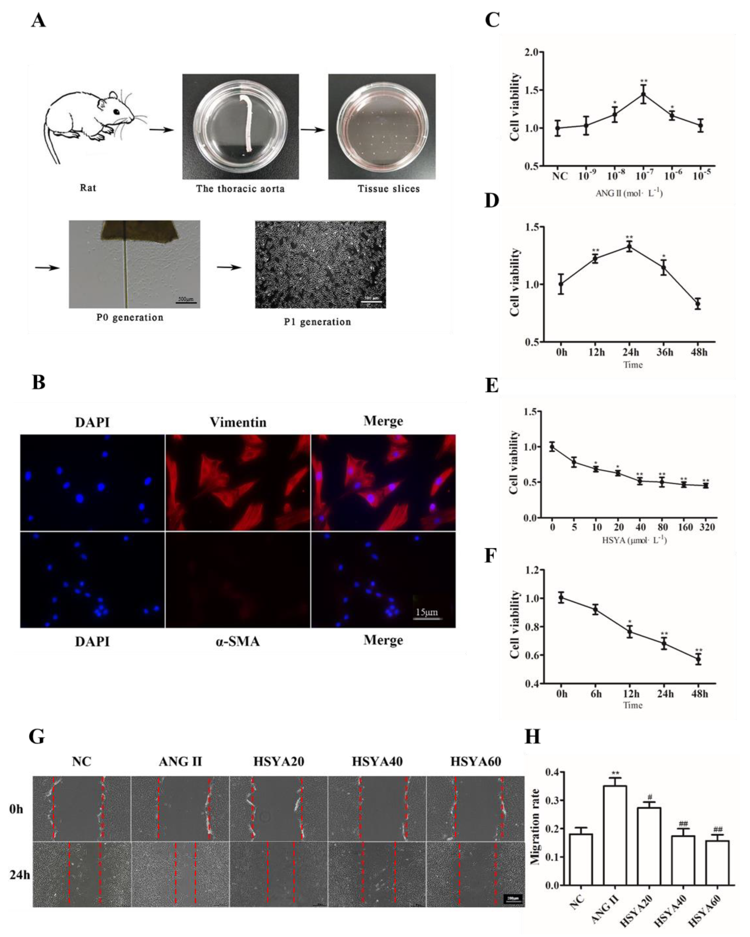 Ijms 24 00172 g001 Ijms 24 00172 g001
