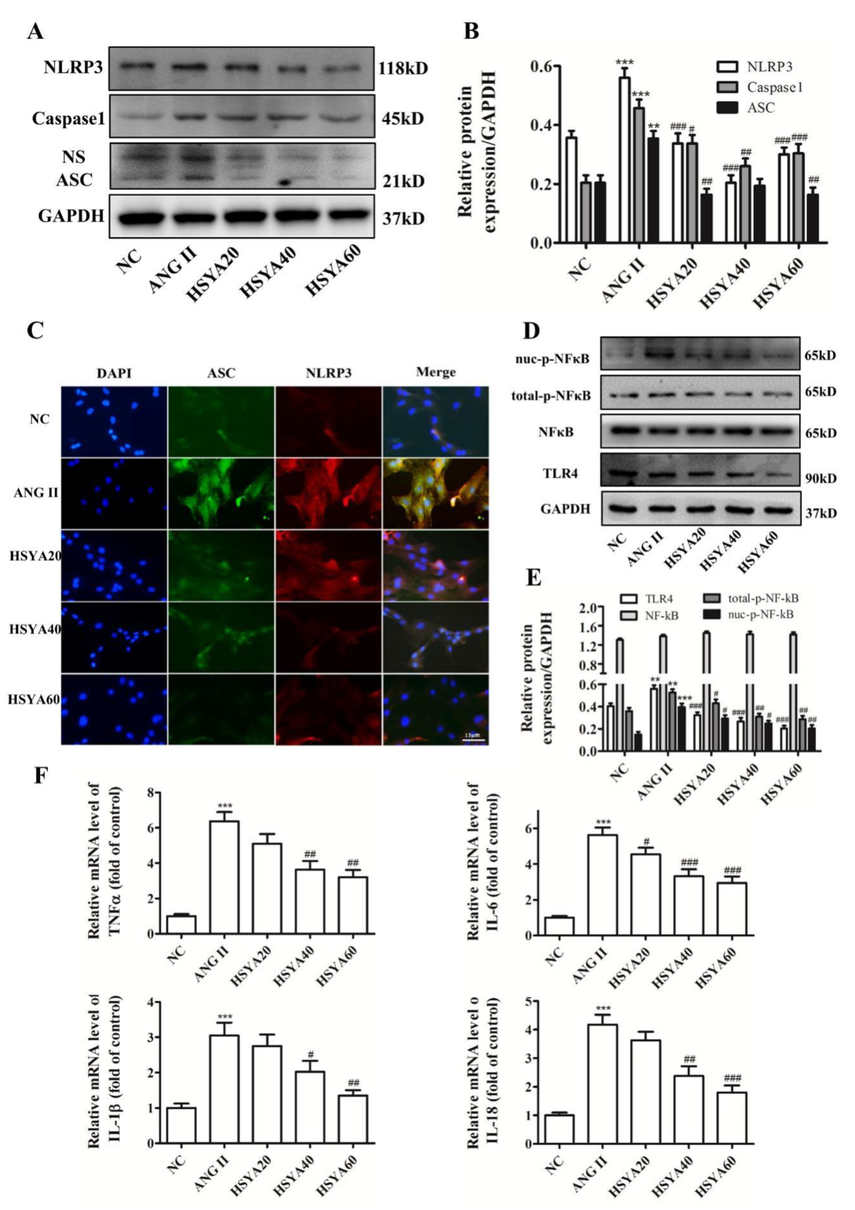 Ijms 24 00172 g002 Ijms 24 00172 g002