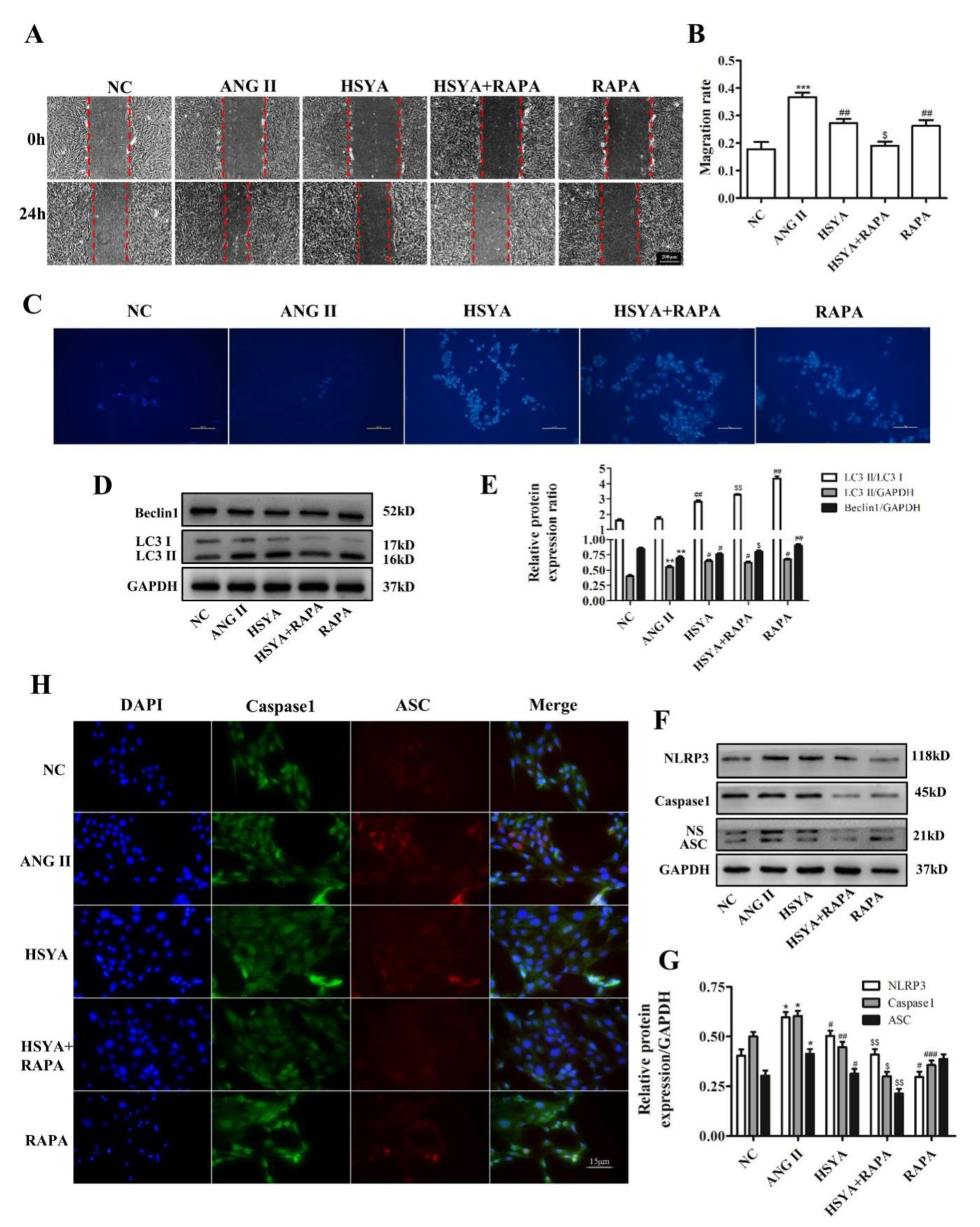 Ijms 24 00172 g004 Ijms 24 00172 g004