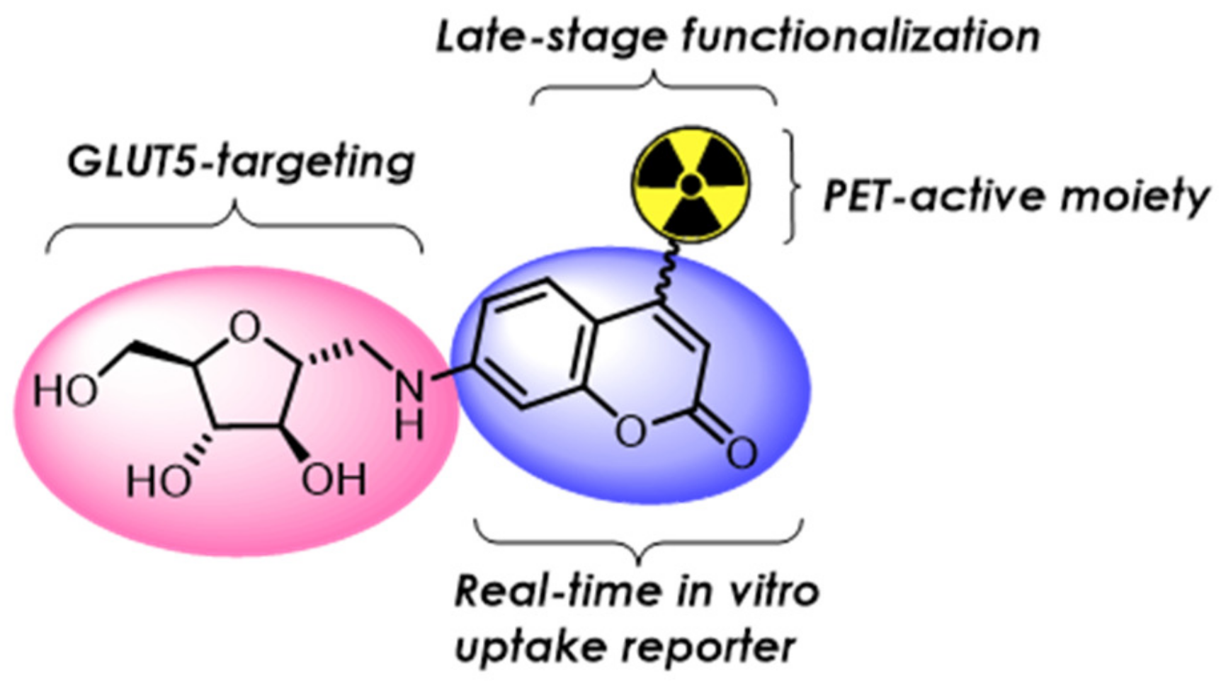 Ijms 24 00173 g001 Ijms 24 00173 g001