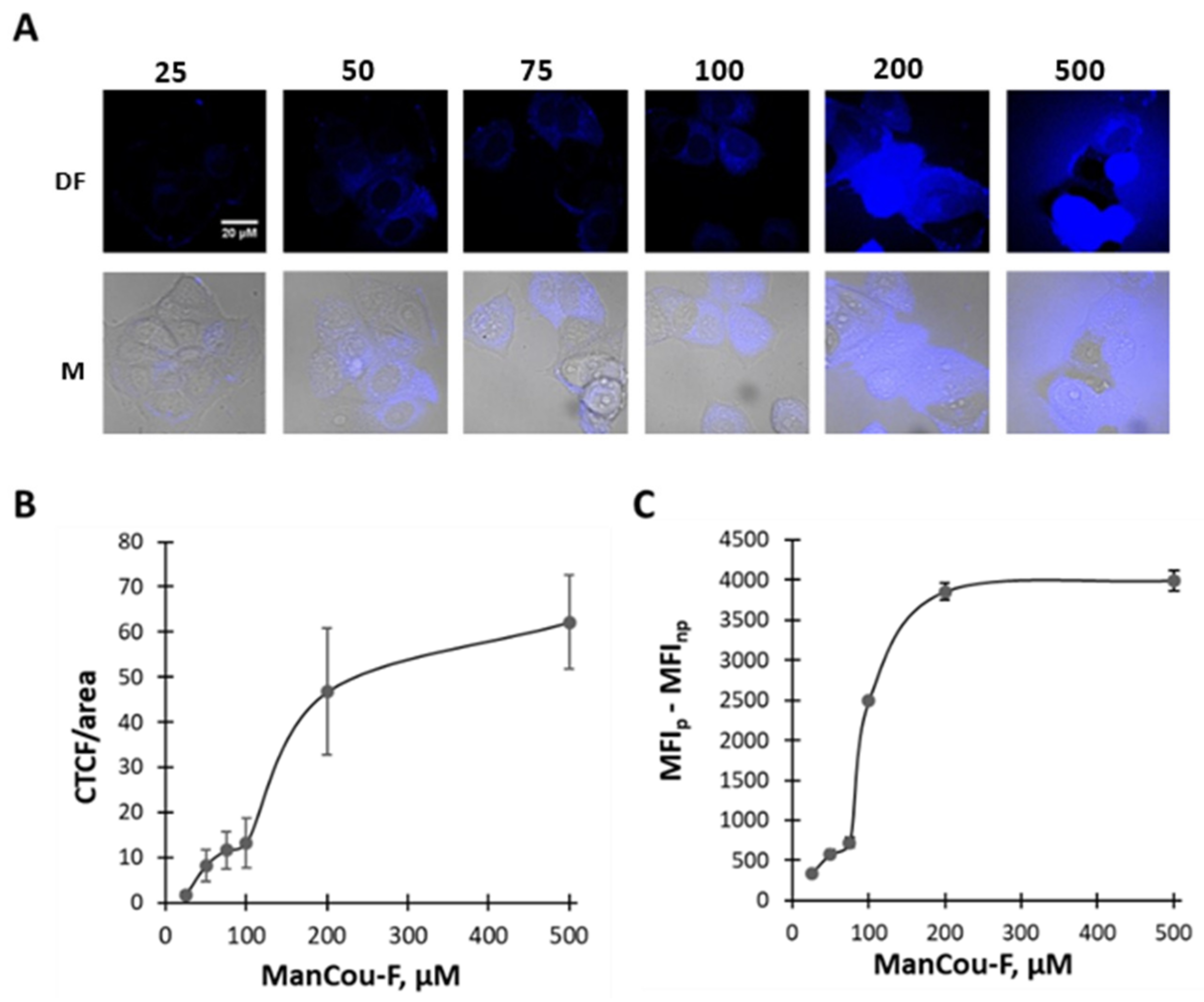 Ijms 24 00173 g003 Ijms 24 00173 g003