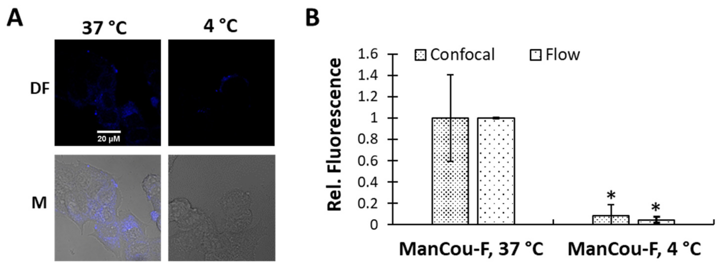 Ijms 24 00173 g004 Ijms 24 00173 g004