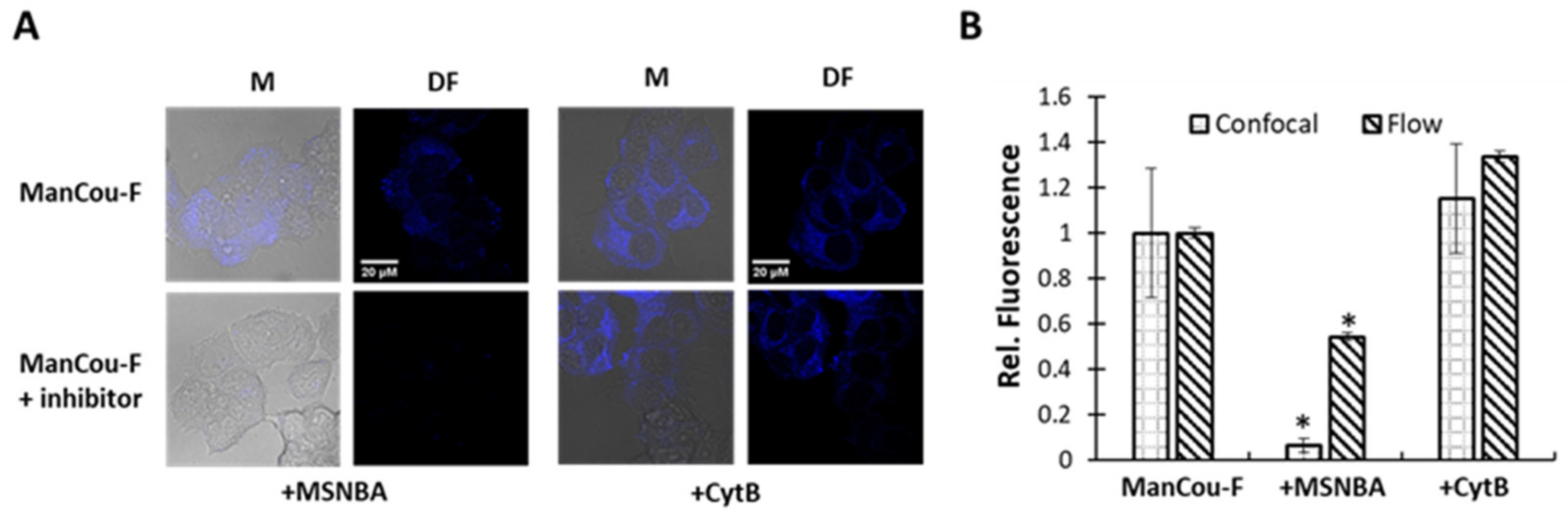 Ijms 24 00173 g005 Ijms 24 00173 g005
