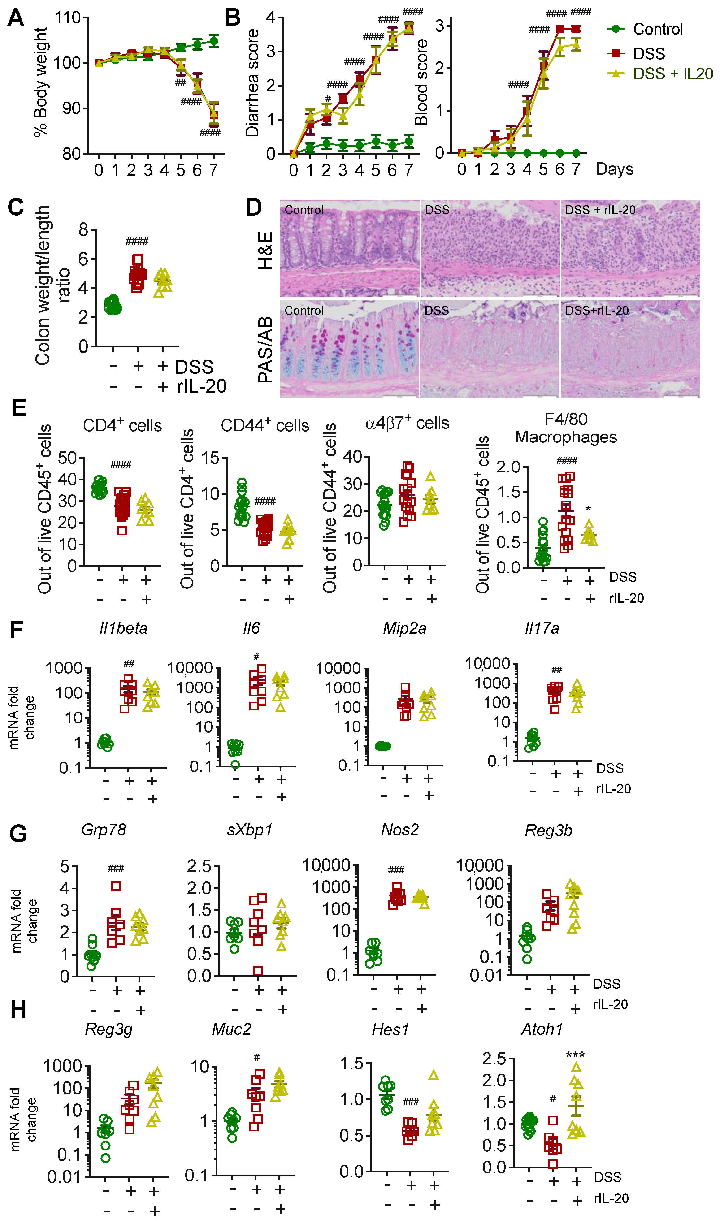 Ijms 24 00174 g002 Ijms 24 00174 g002