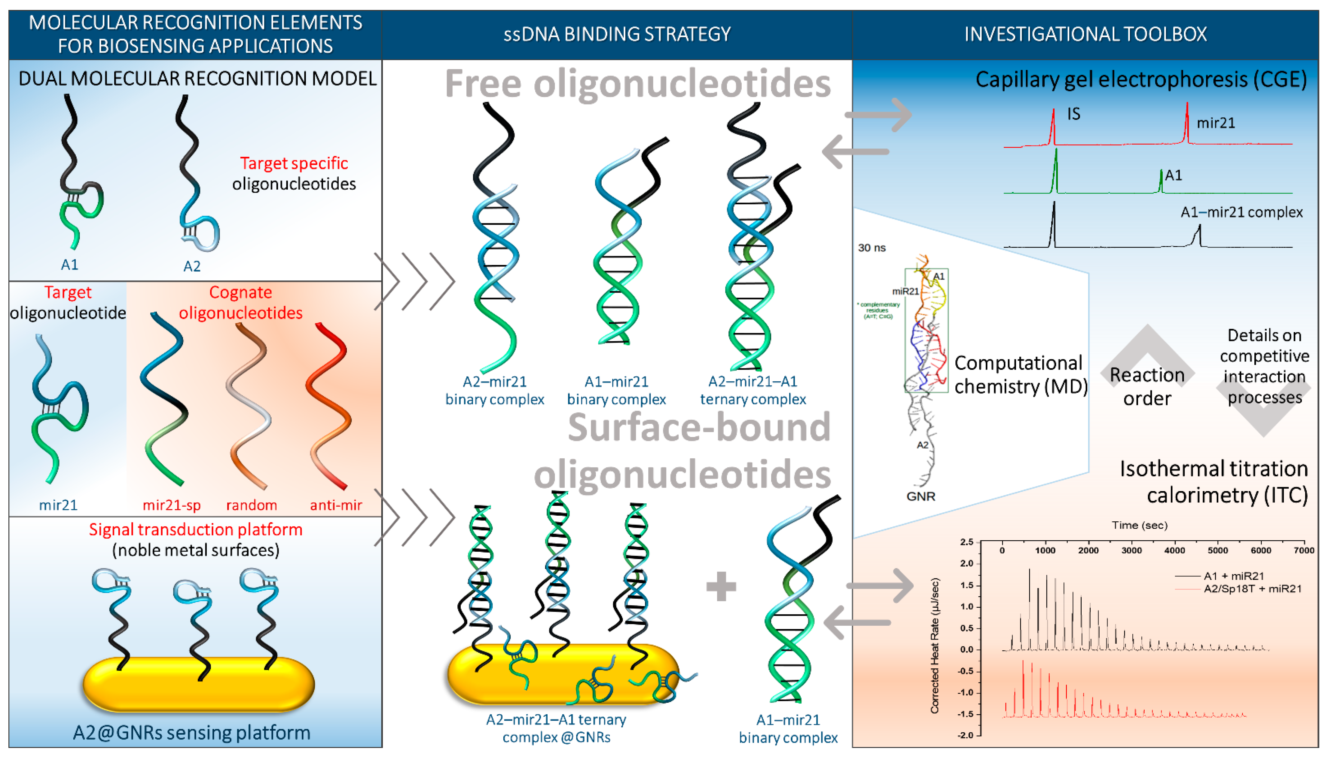 Ijms 24 00175 g001 Ijms 24 00175 g001