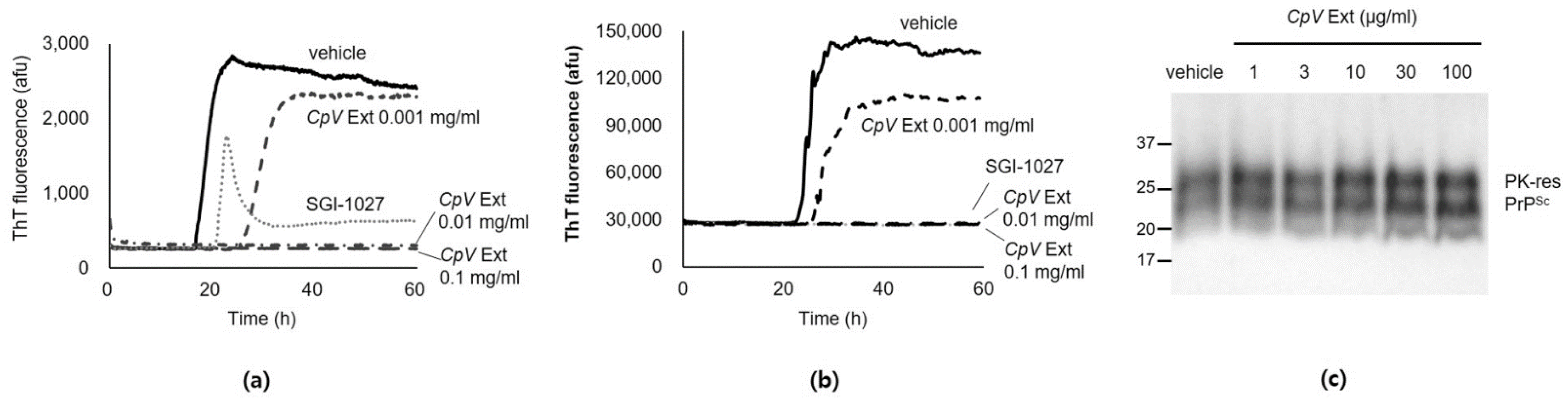 Ijms 24 00182 g001 Ijms 24 00182 g001