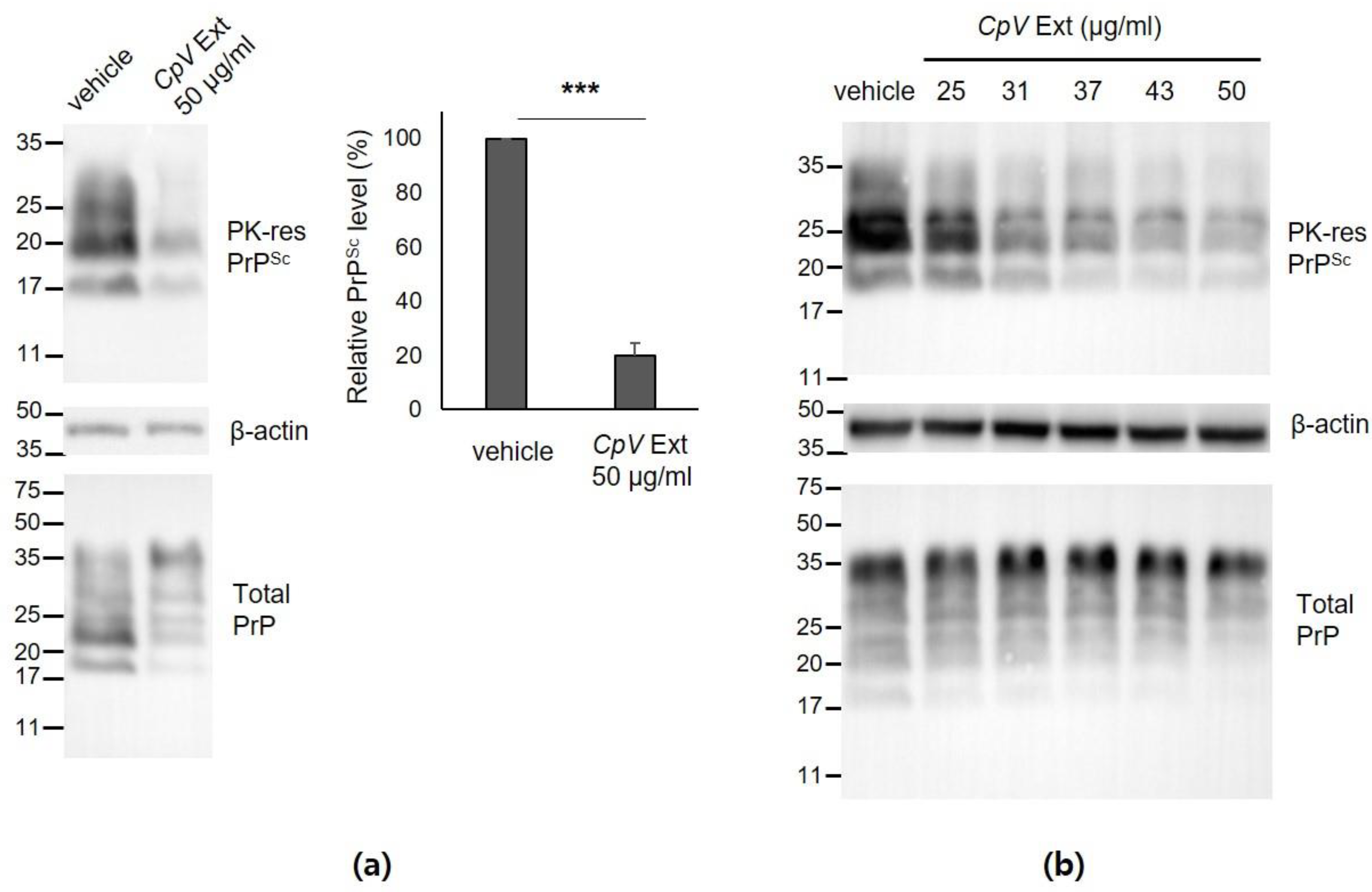 Ijms 24 00182 g002 Ijms 24 00182 g002