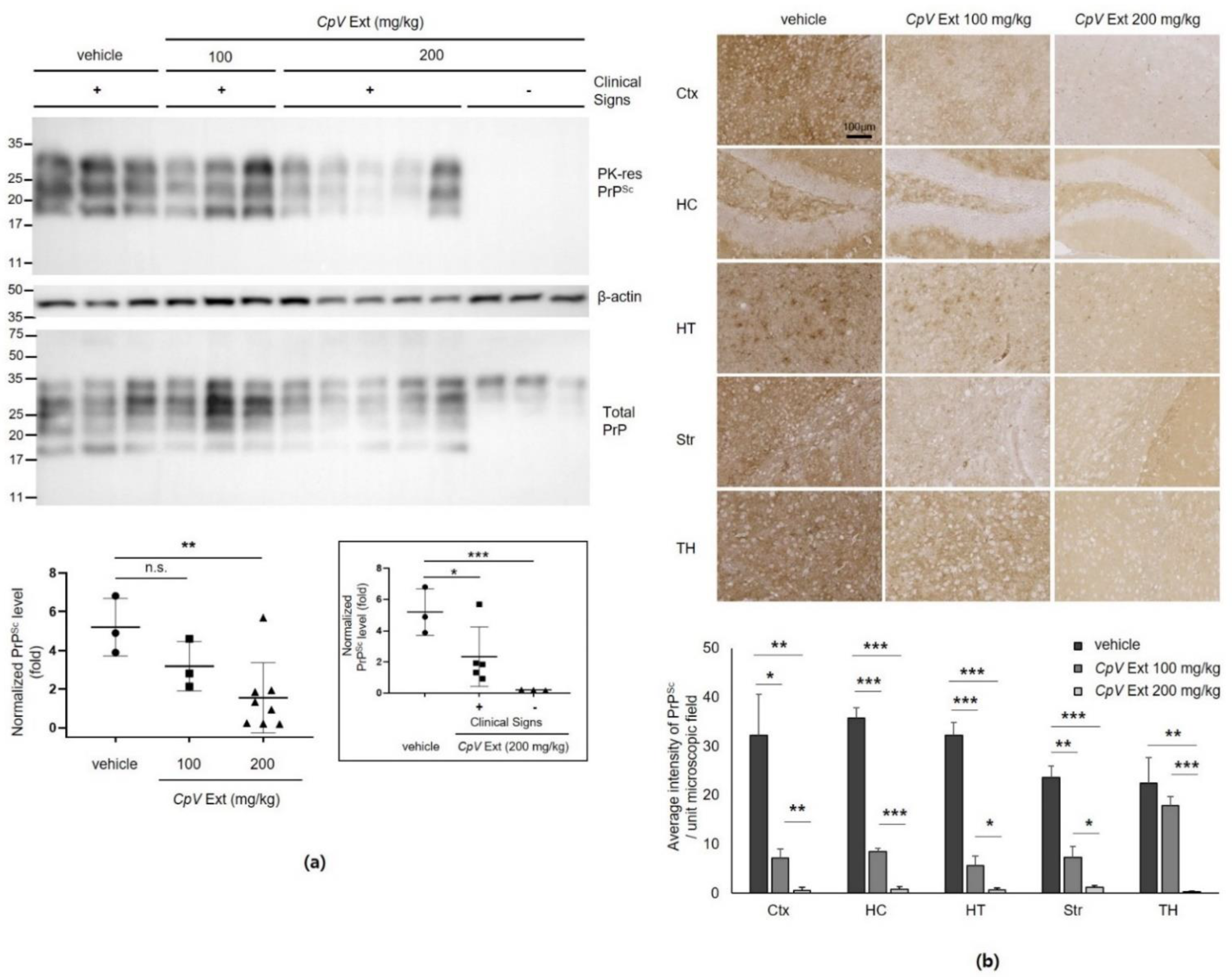 Ijms 24 00182 g004 Ijms 24 00182 g004