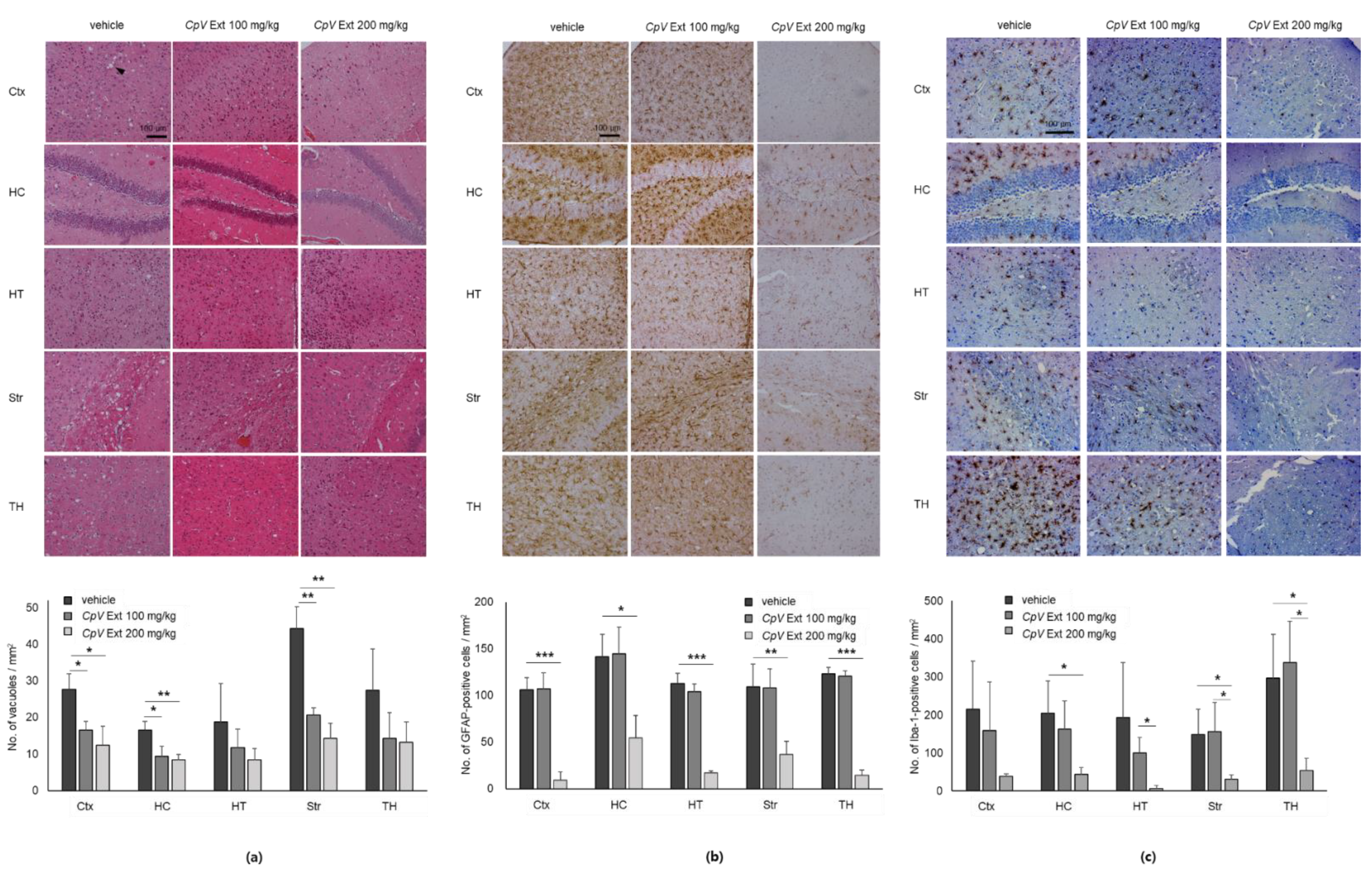 Ijms 24 00182 g005 Ijms 24 00182 g005