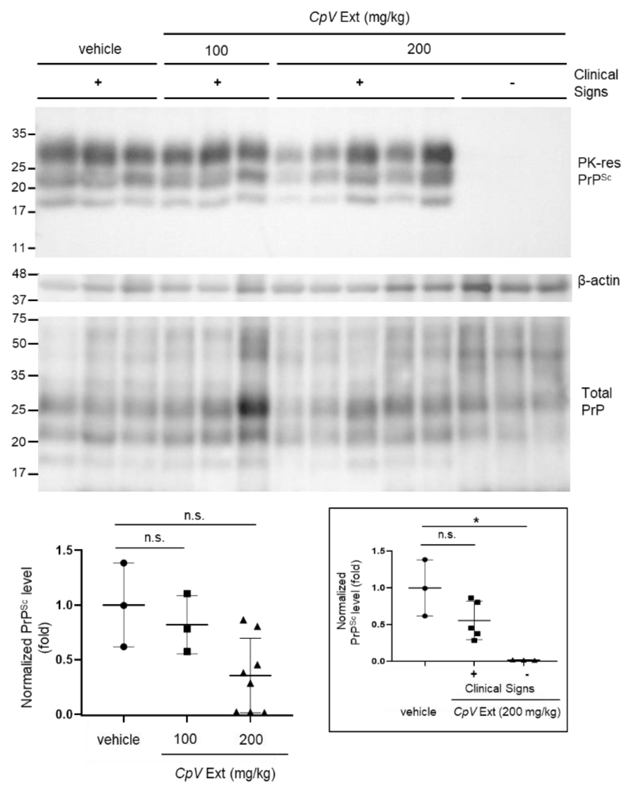 Ijms 24 00182 g006 Ijms 24 00182 g006