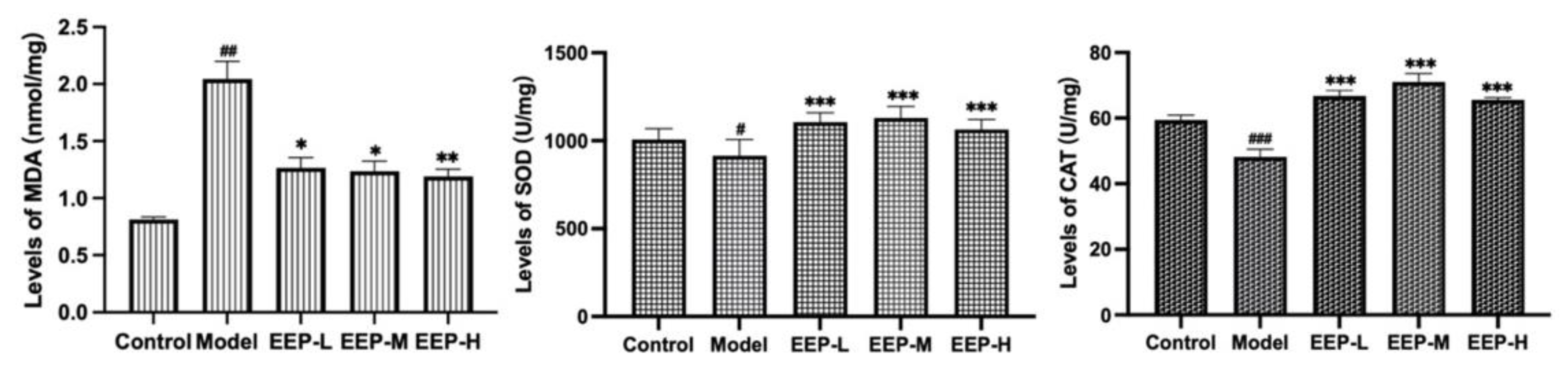 Ijms 24 00187 g004 Ijms 24 00187 g004