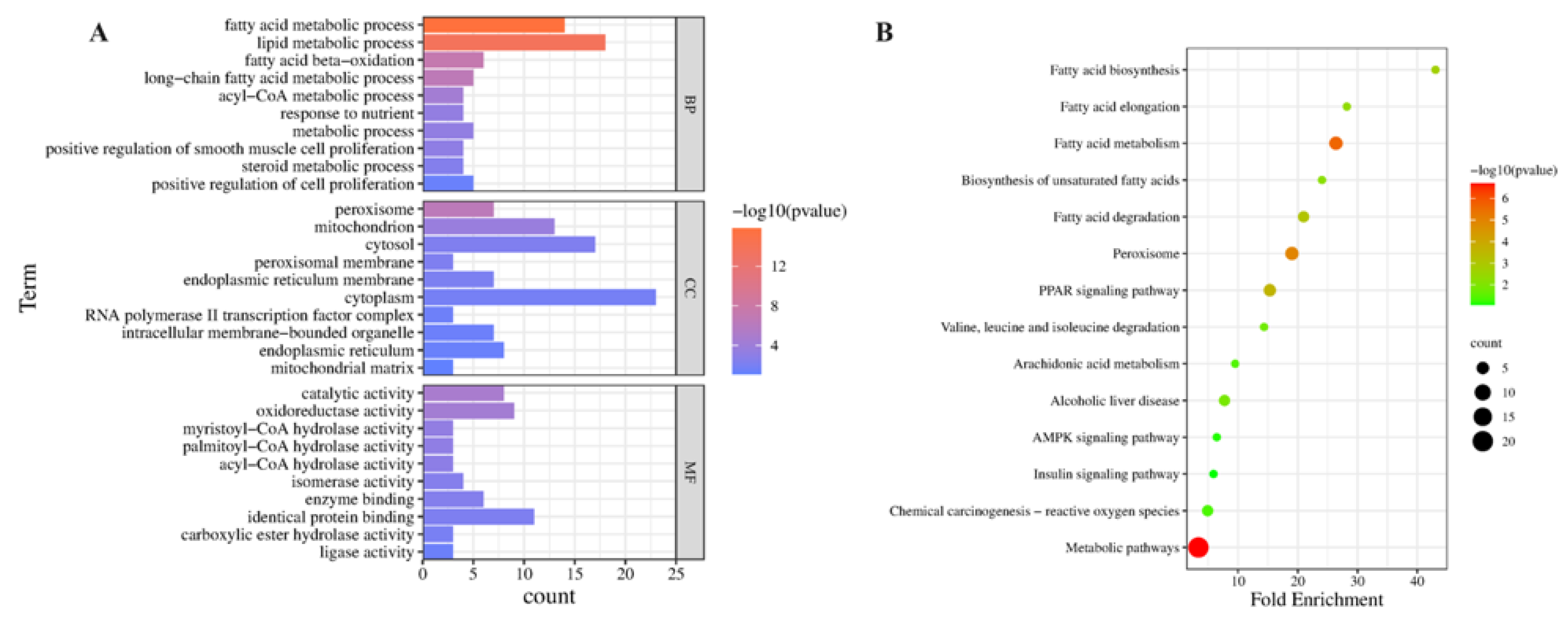 Ijms 24 00187 g006 Ijms 24 00187 g006