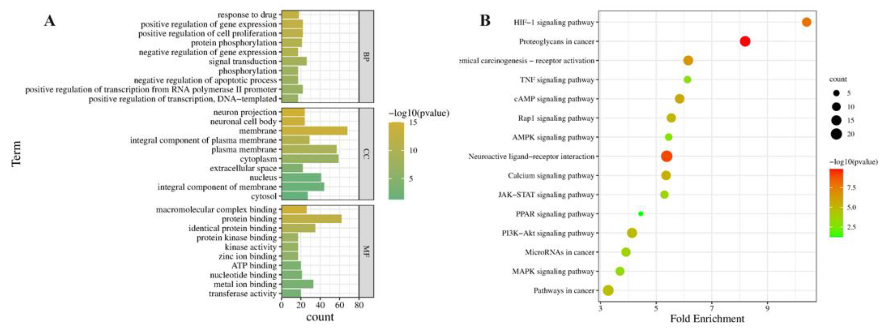 Ijms 24 00187 g009 Ijms 24 00187 g009