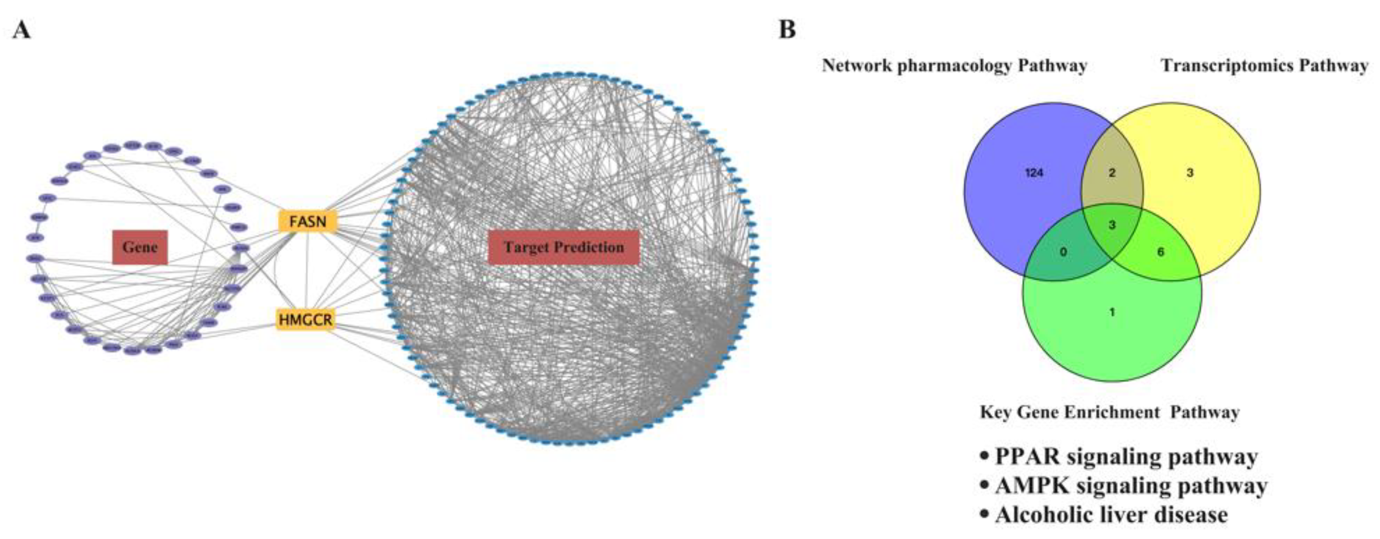 Ijms 24 00187 g010 Ijms 24 00187 g010