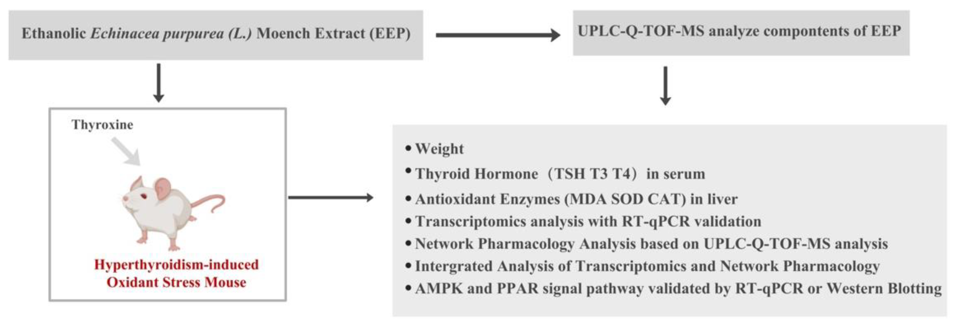 Ijms 24 00187 g012 Ijms 24 00187 g012