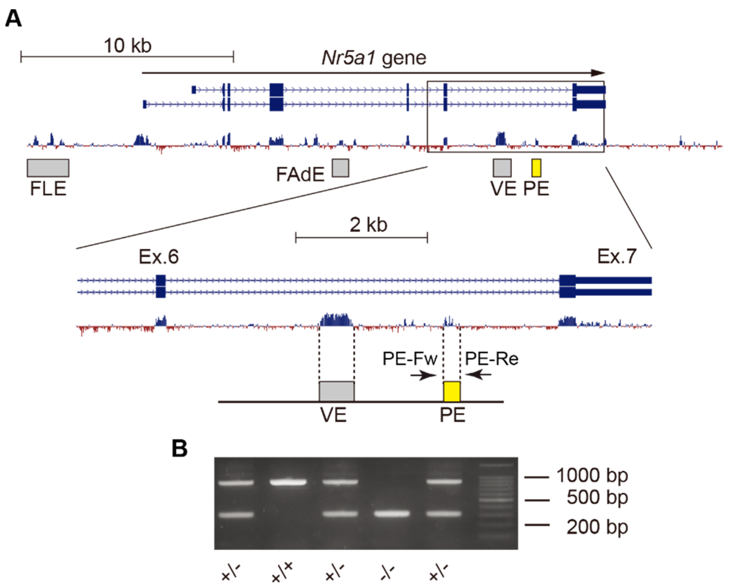 Ijms 24 00192 g001 Ijms 24 00192 g001