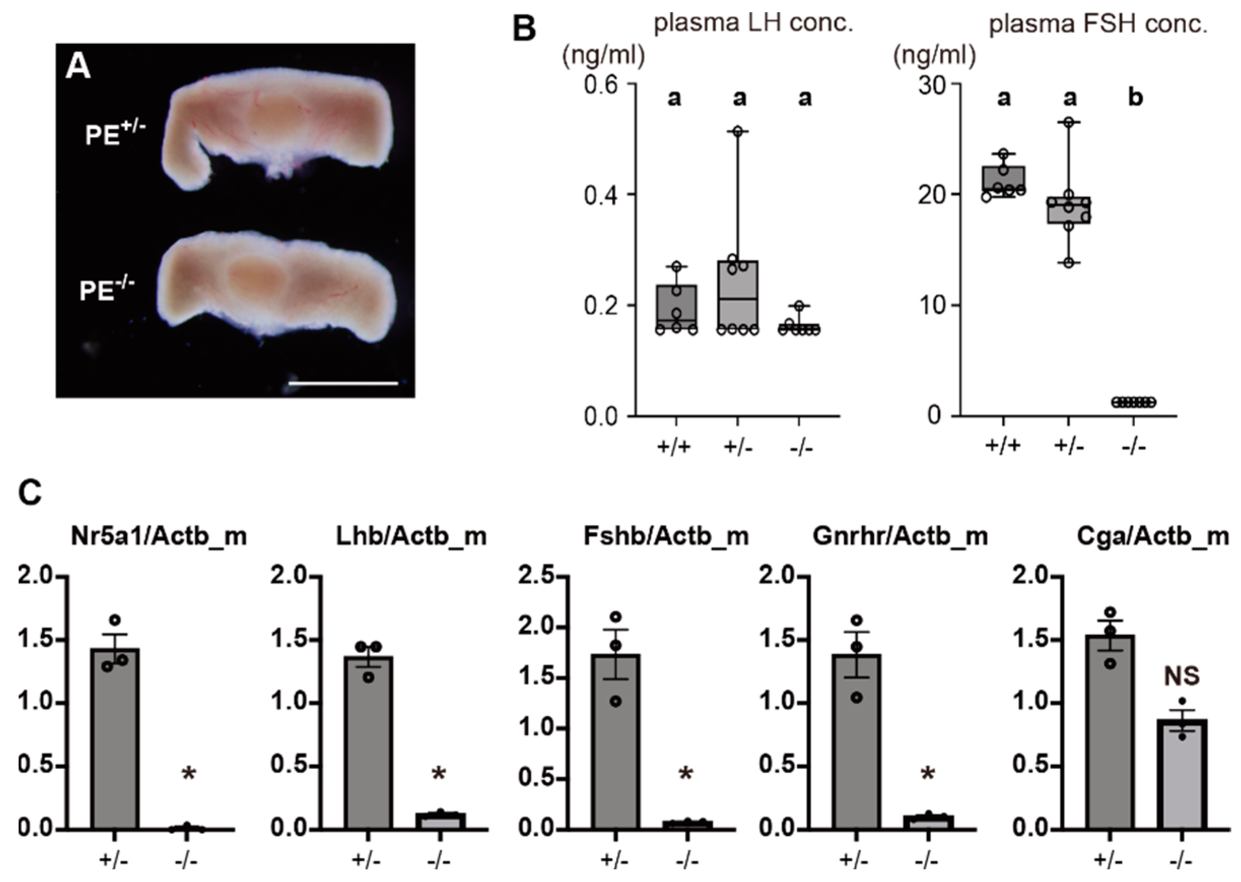 Ijms 24 00192 g006 Ijms 24 00192 g006