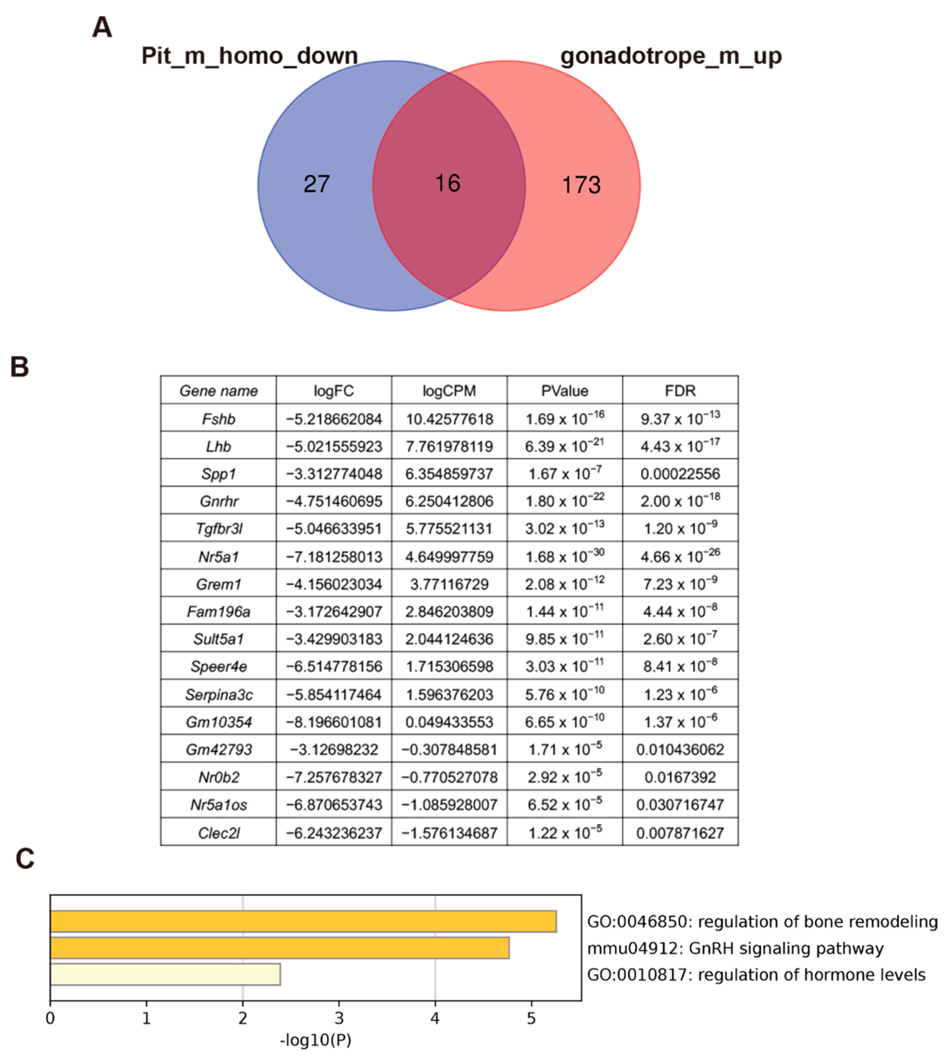 Ijms 24 00192 g008 Ijms 24 00192 g008