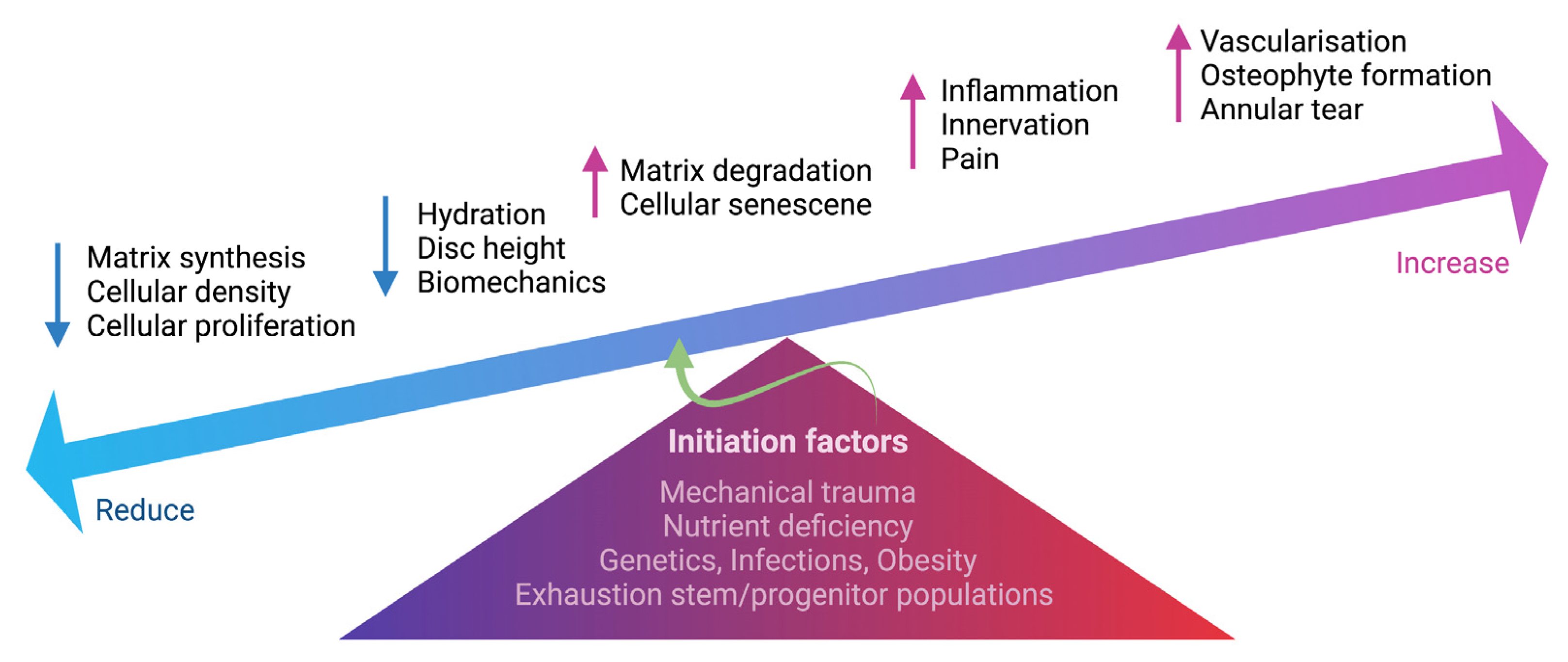 Ijms 24 00208 g002 Ijms 24 00208 g002