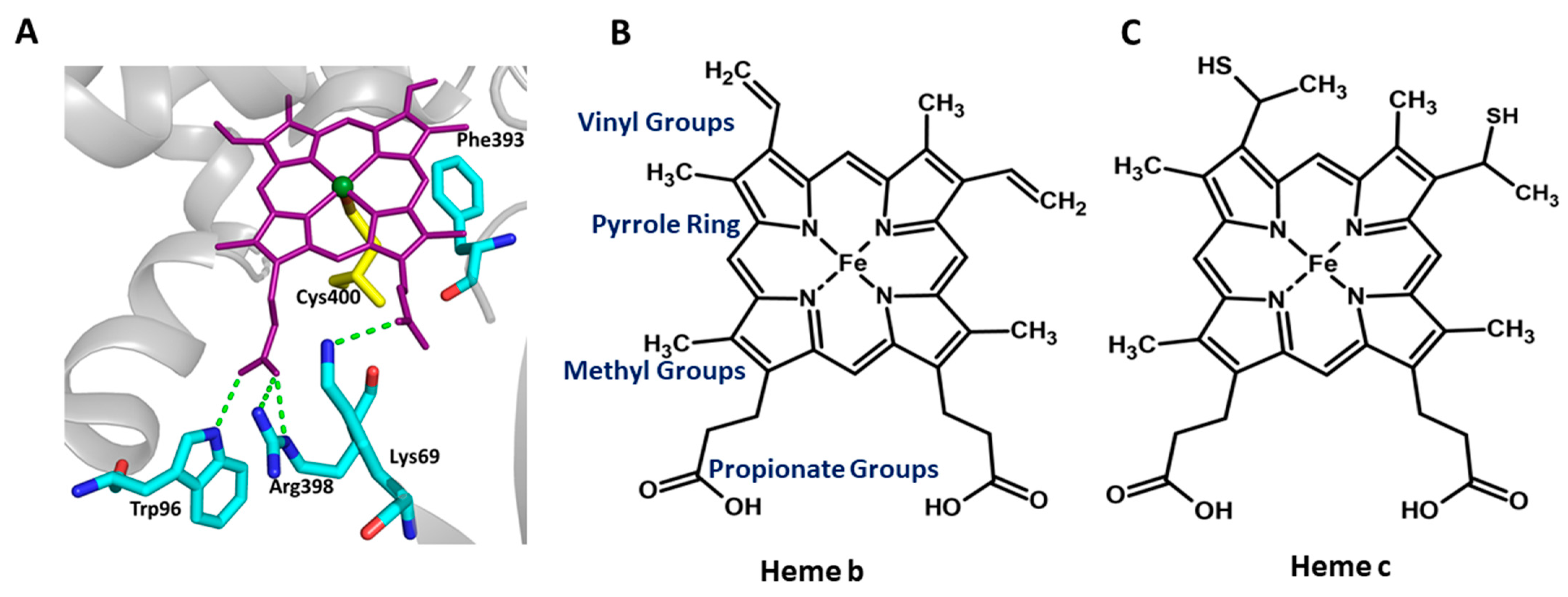Ijms 24 00214 g001 Ijms 24 00214 g001