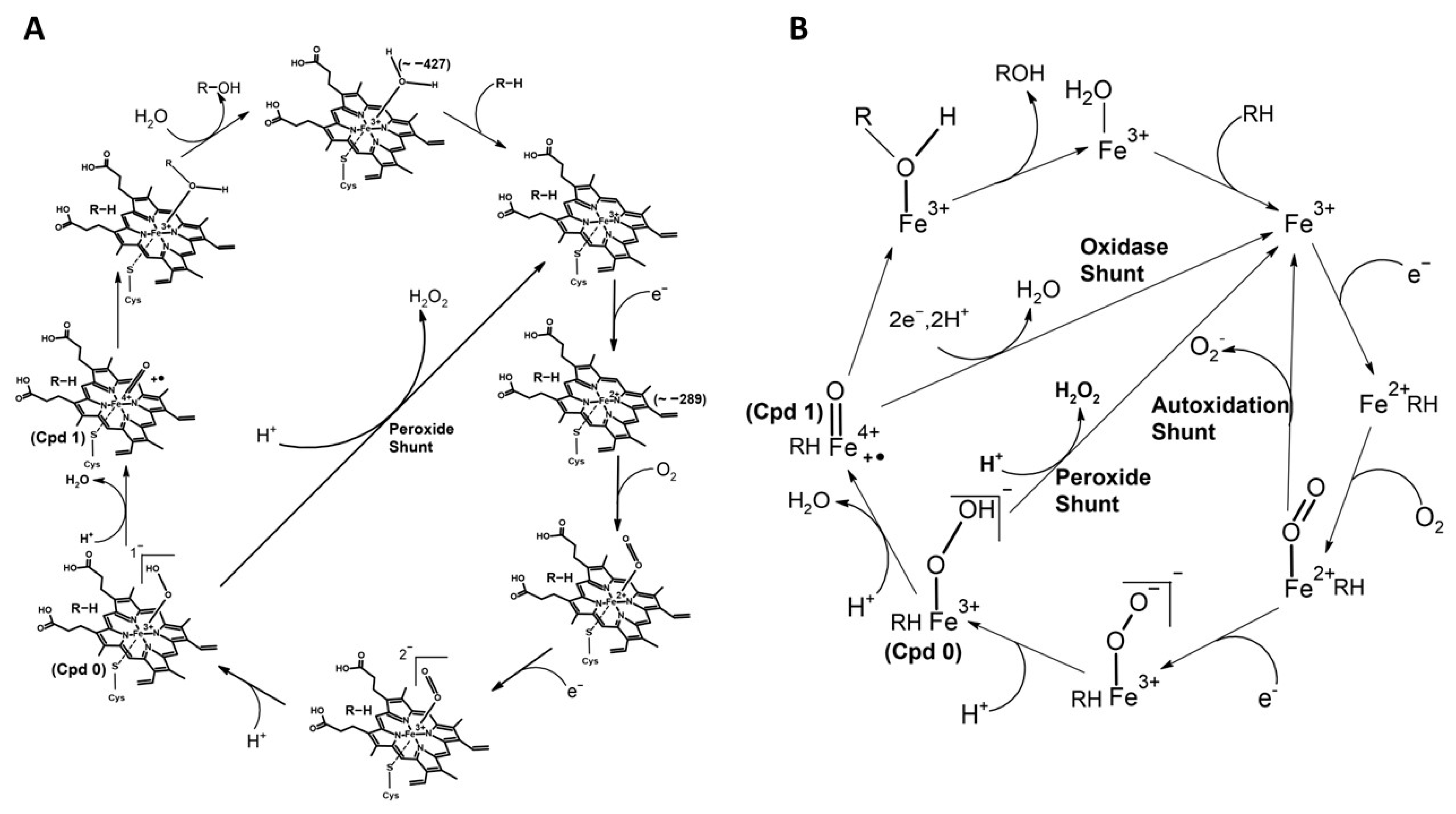 Ijms 24 00214 g002 Ijms 24 00214 g002