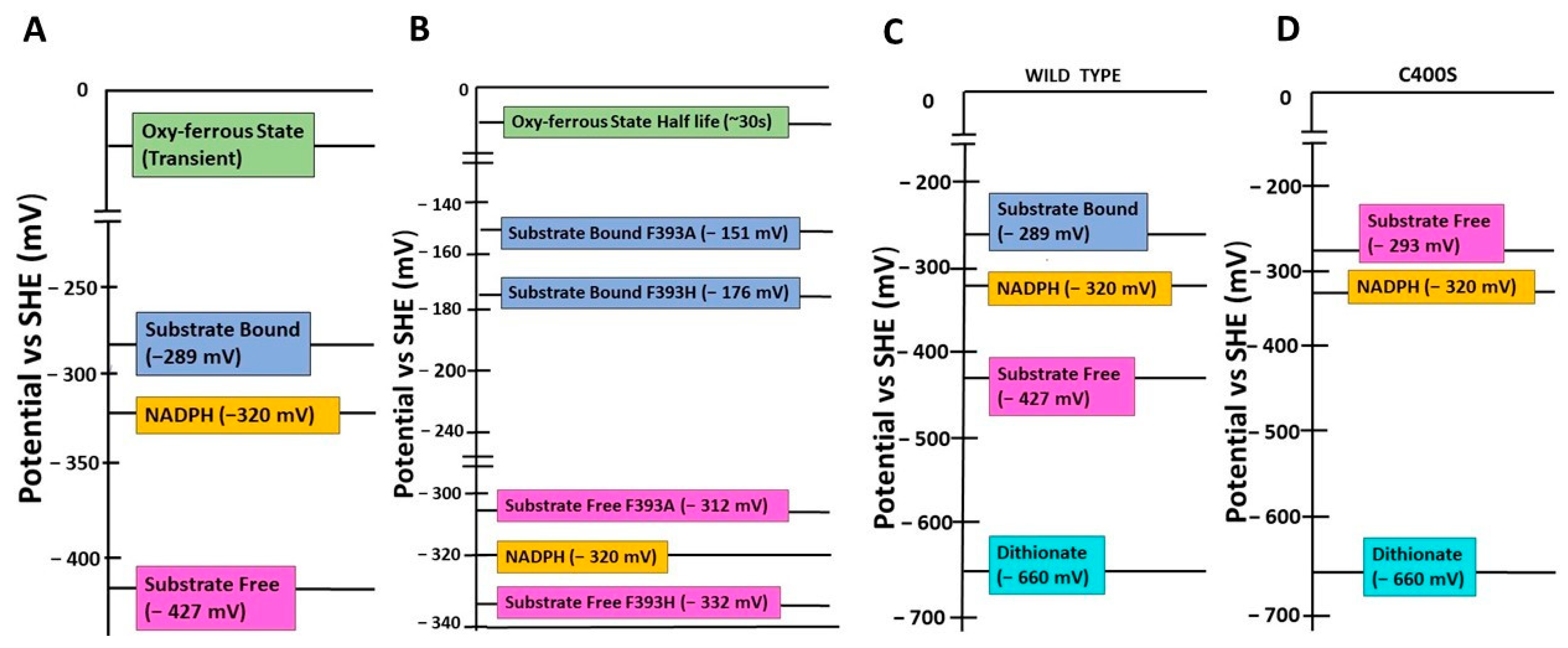 Ijms 24 00214 g003 Ijms 24 00214 g003