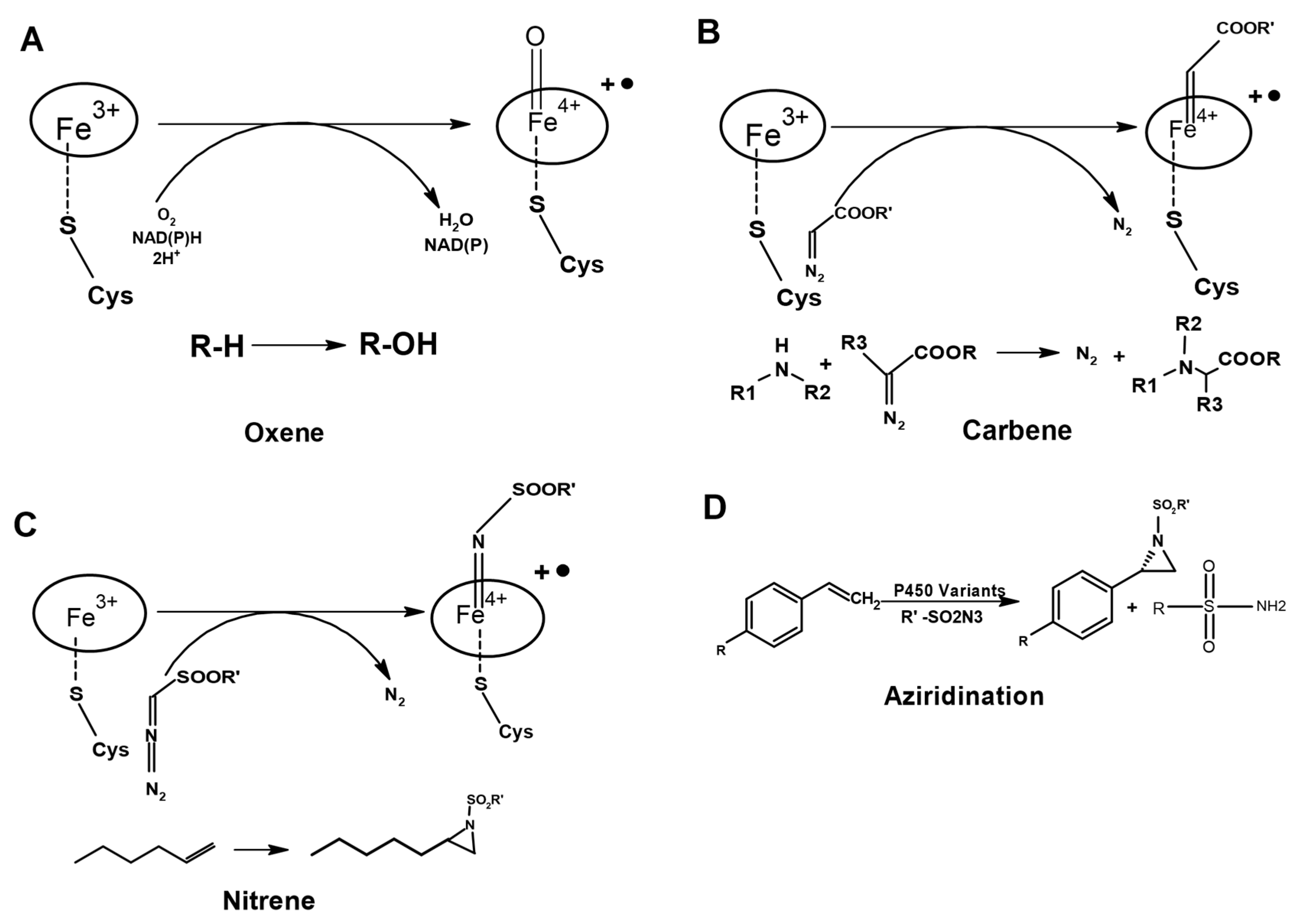 Ijms 24 00214 g004 Ijms 24 00214 g004