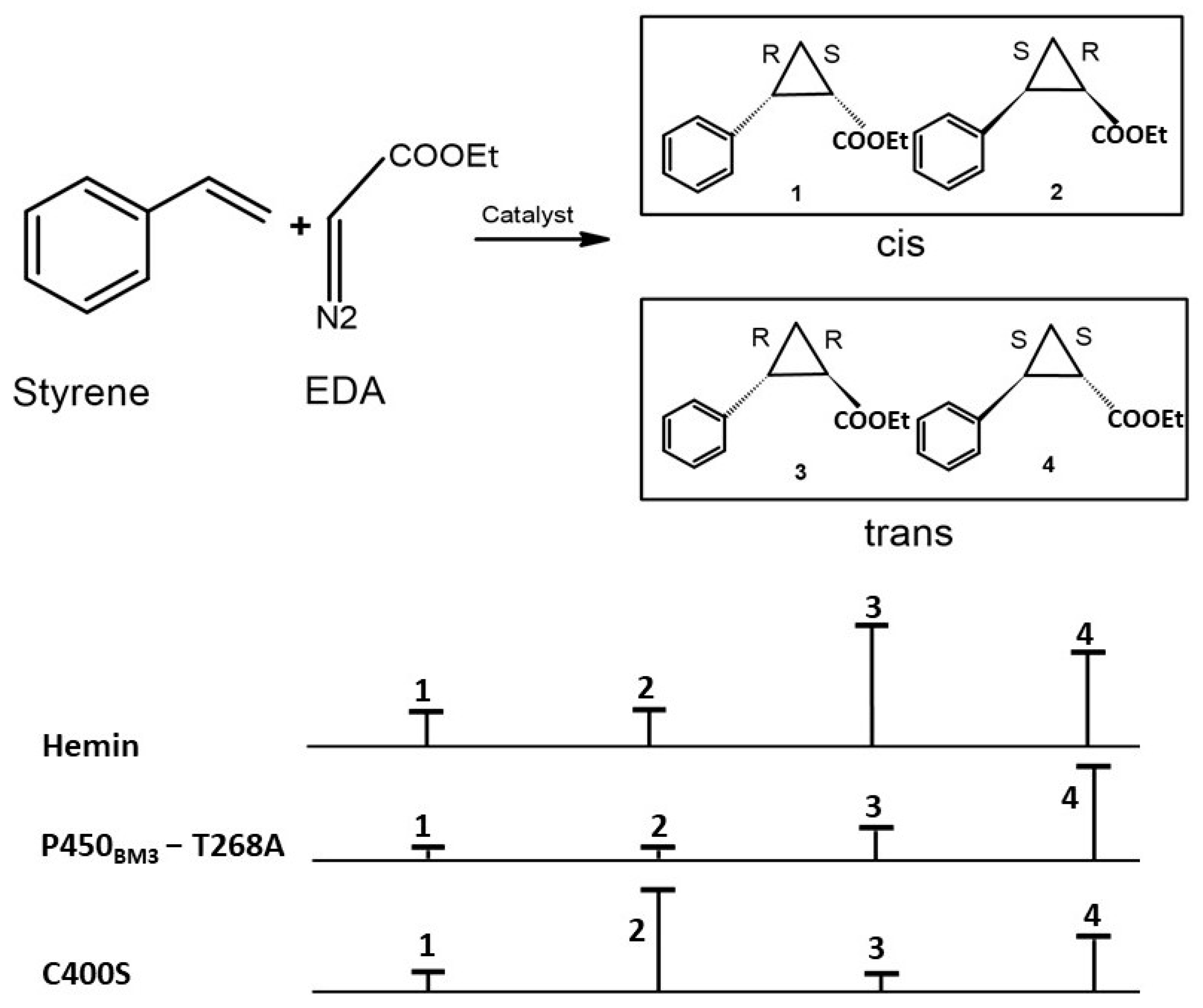 Ijms 24 00214 g005 Ijms 24 00214 g005