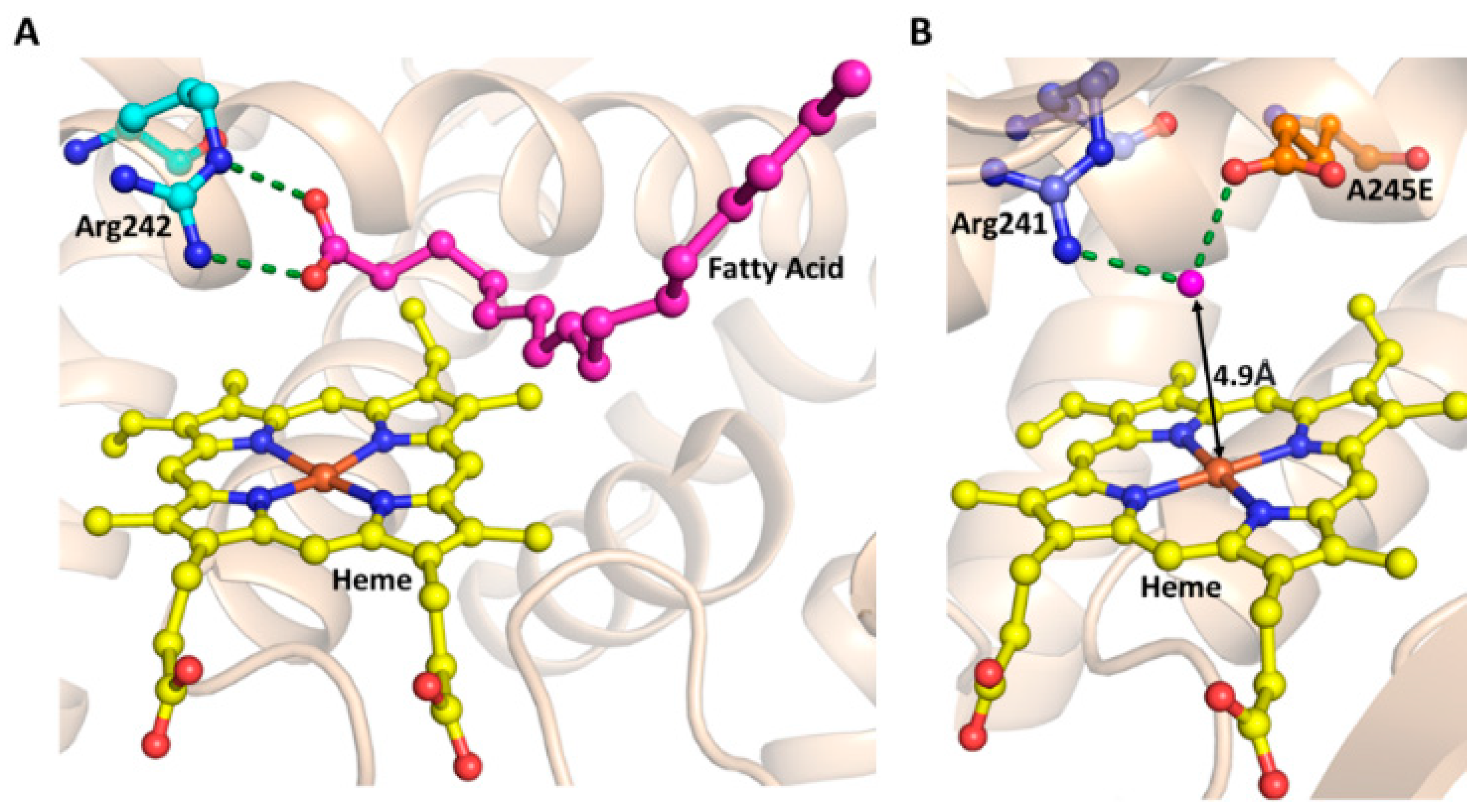 Ijms 24 00214 g006 Ijms 24 00214 g006
