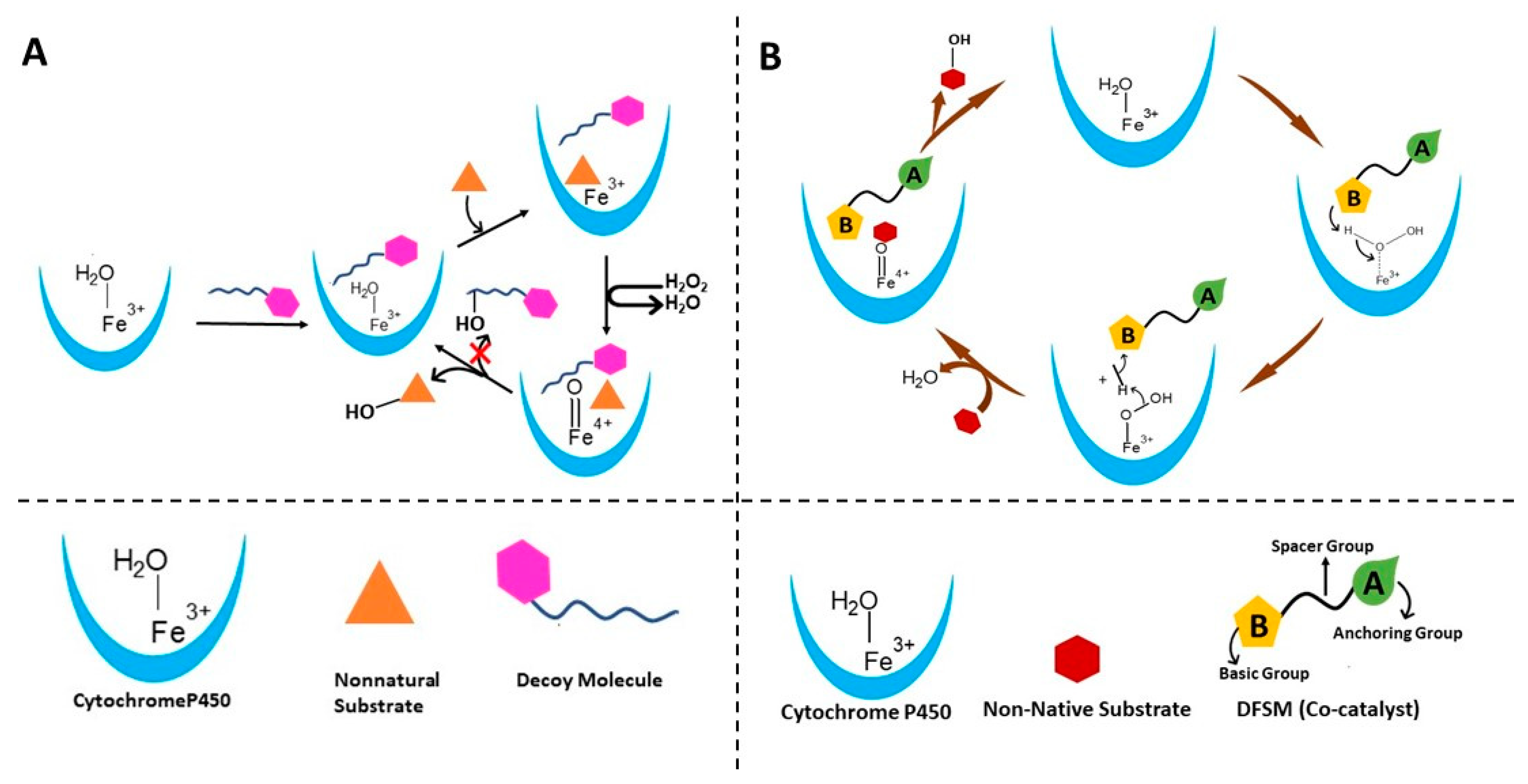 Ijms 24 00214 g007 Ijms 24 00214 g007