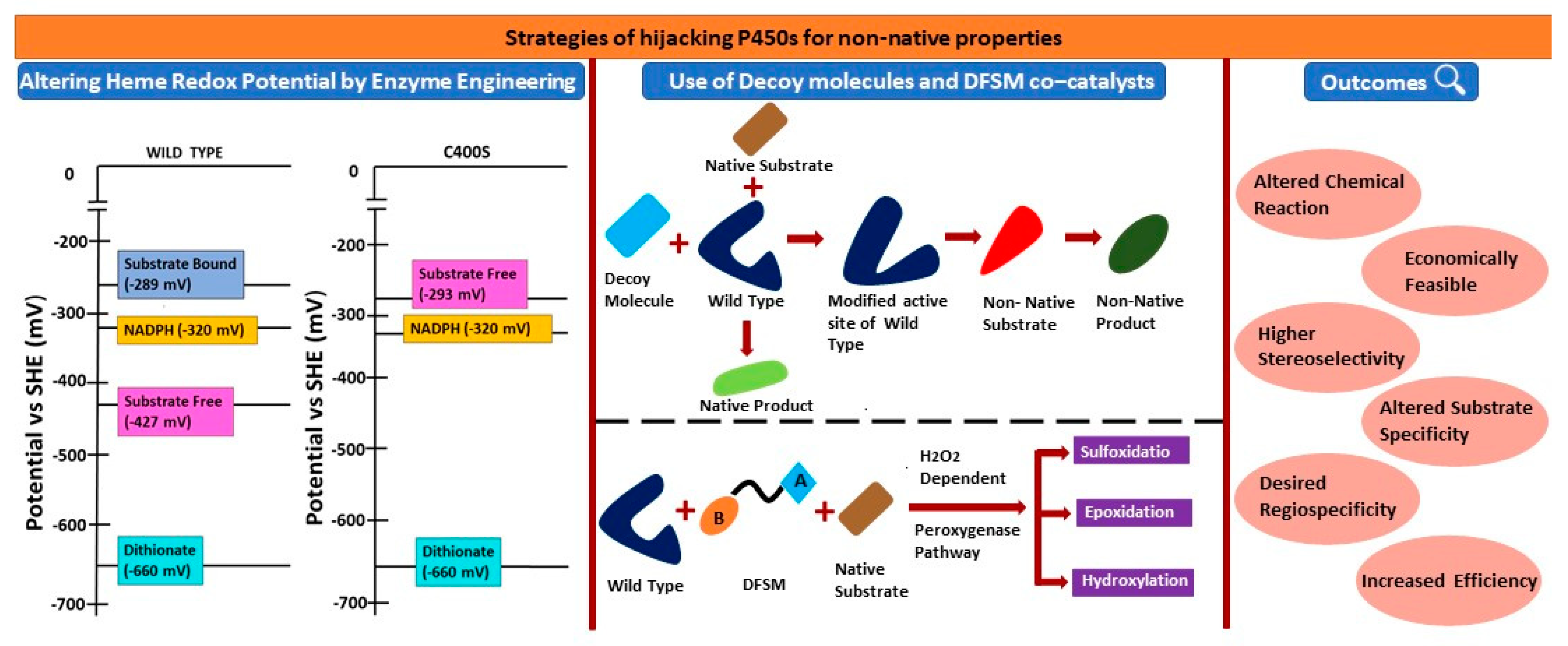 Ijms 24 00214 g008 Ijms 24 00214 g008