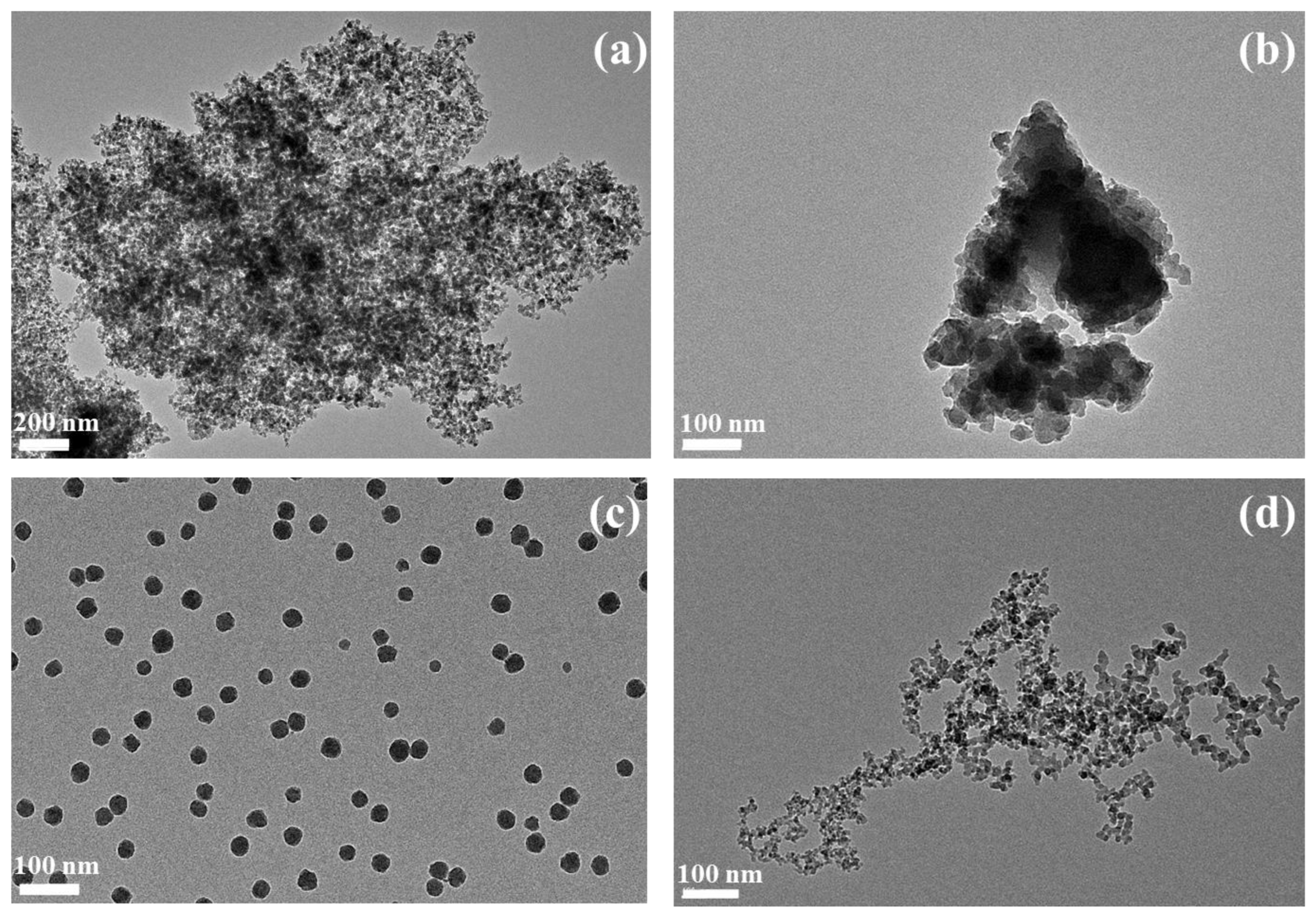 Ijms 24 00220 g001 Ijms 24 00220 g001