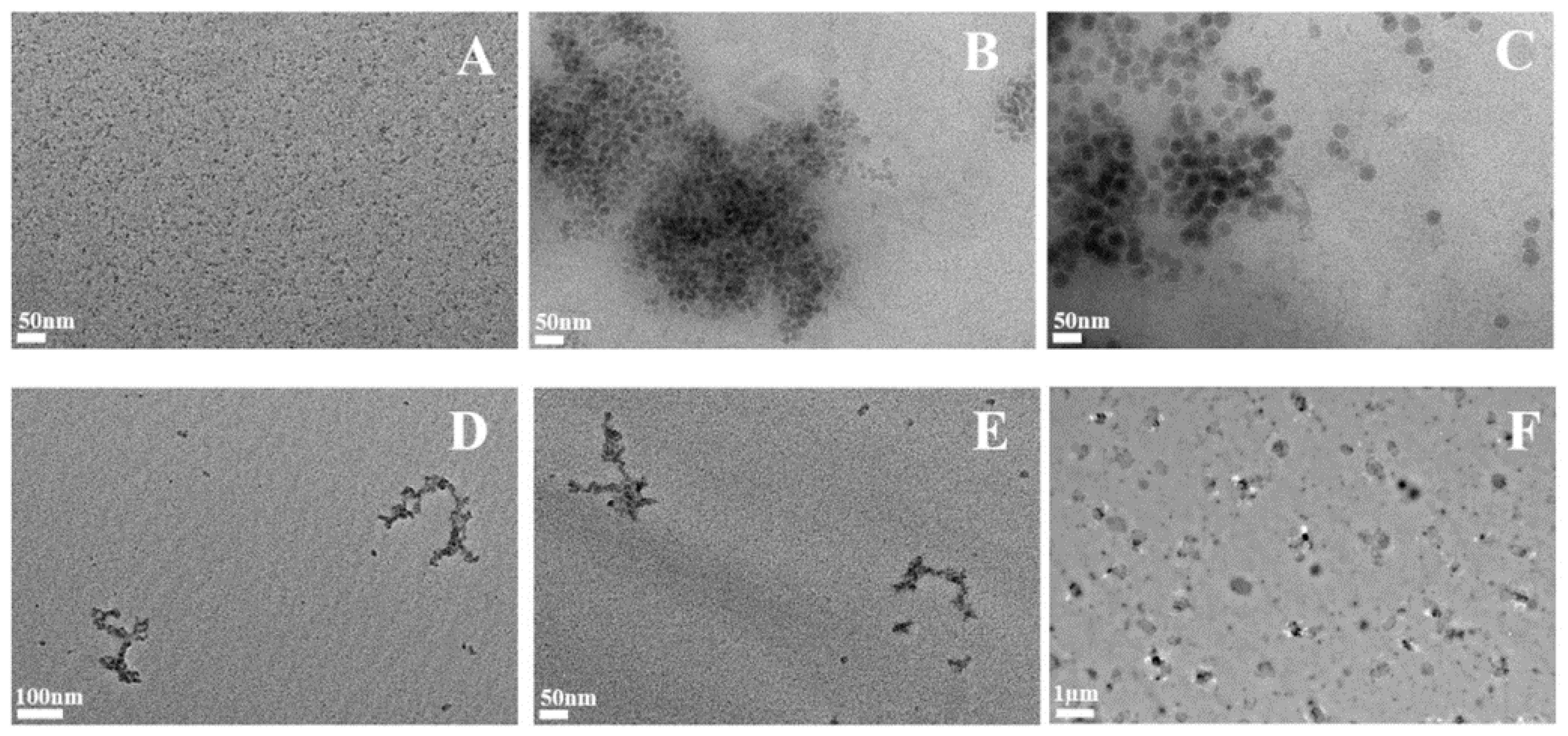 Ijms 24 00220 g005 Ijms 24 00220 g005