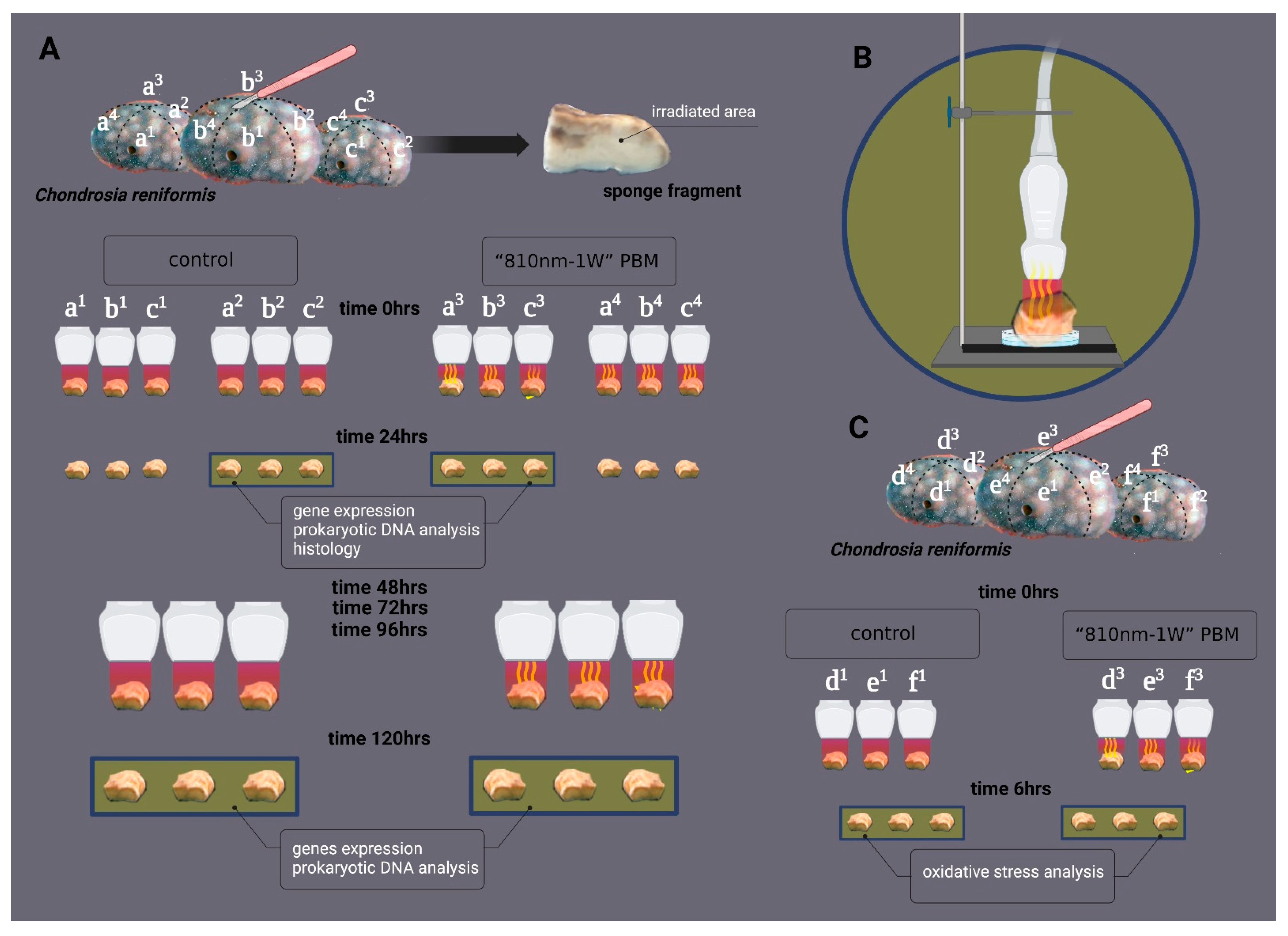 Ijms 24 00226 g007 Ijms 24 00226 g007