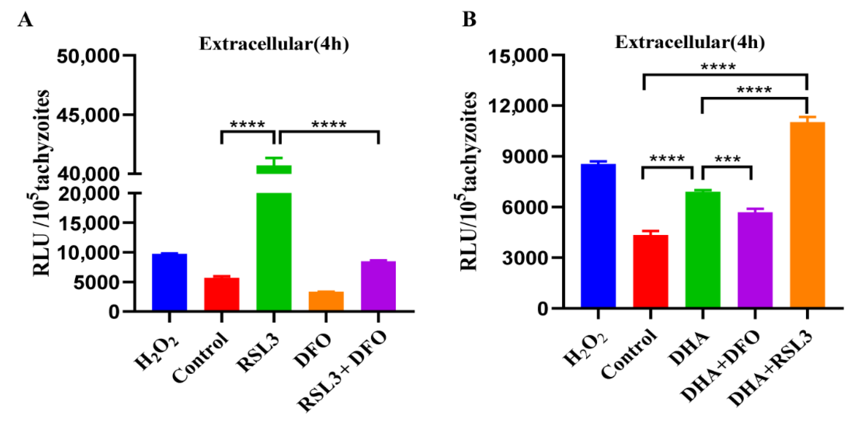 Ijms 24 00229 g005 Ijms 24 00229 g005