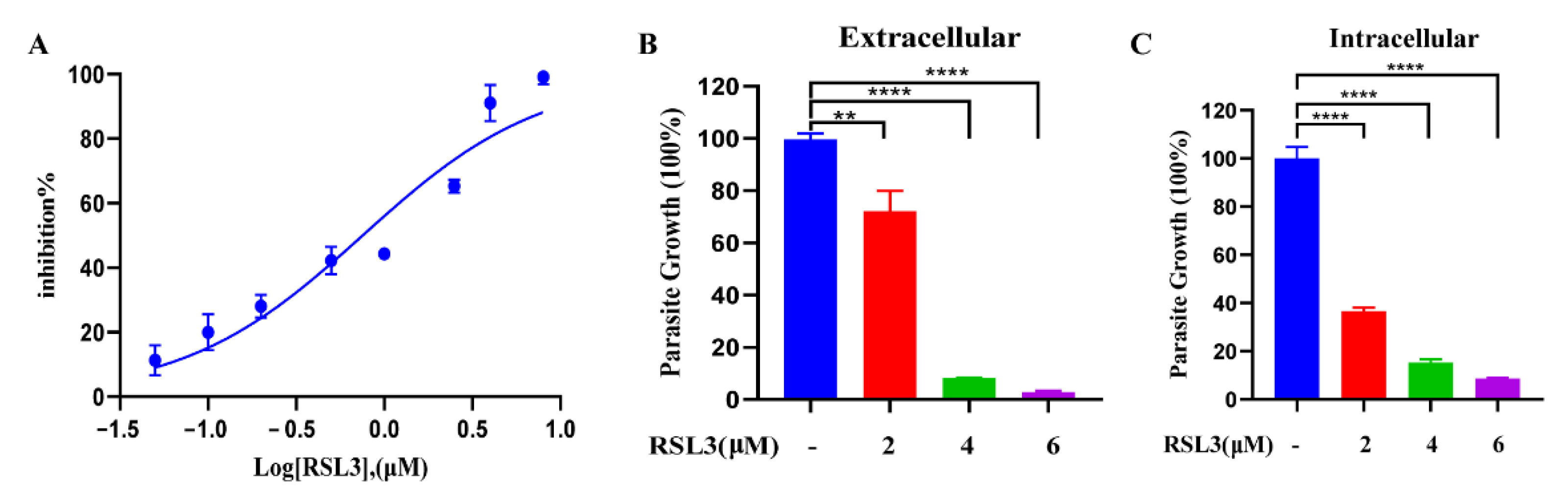 Ijms 24 00229 g006 Ijms 24 00229 g006