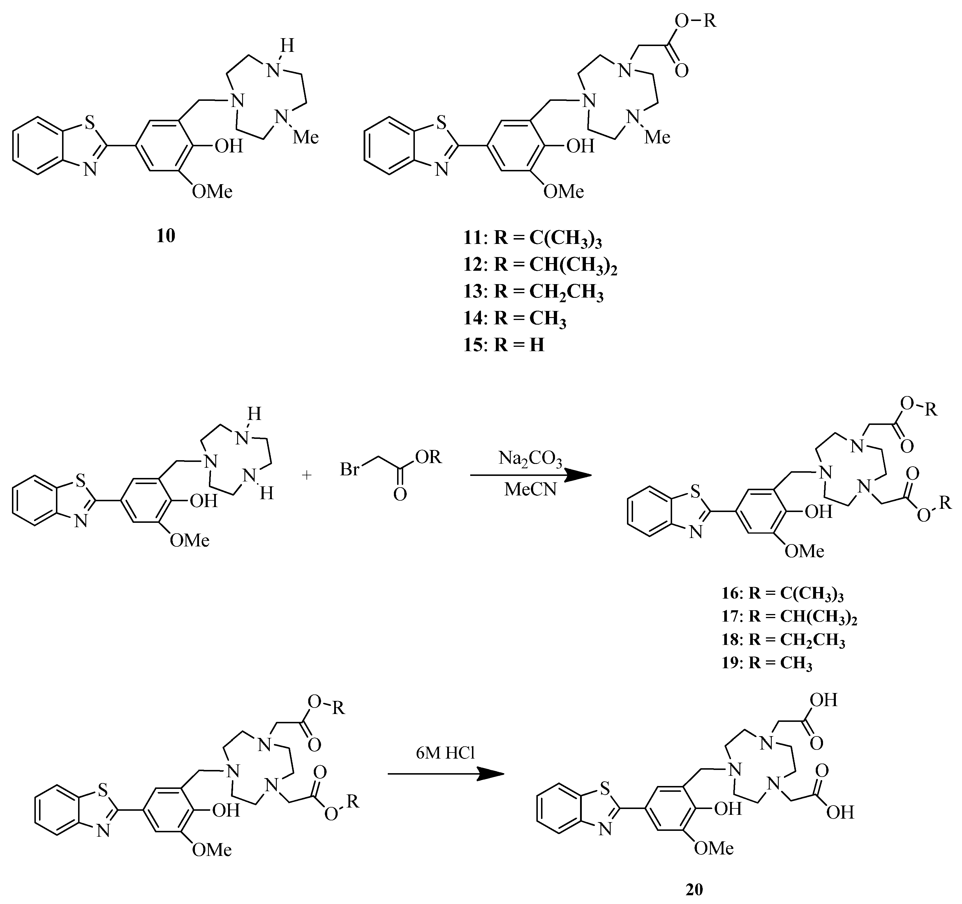 Ijms 24 00236 g007 Ijms 24 00236 g007