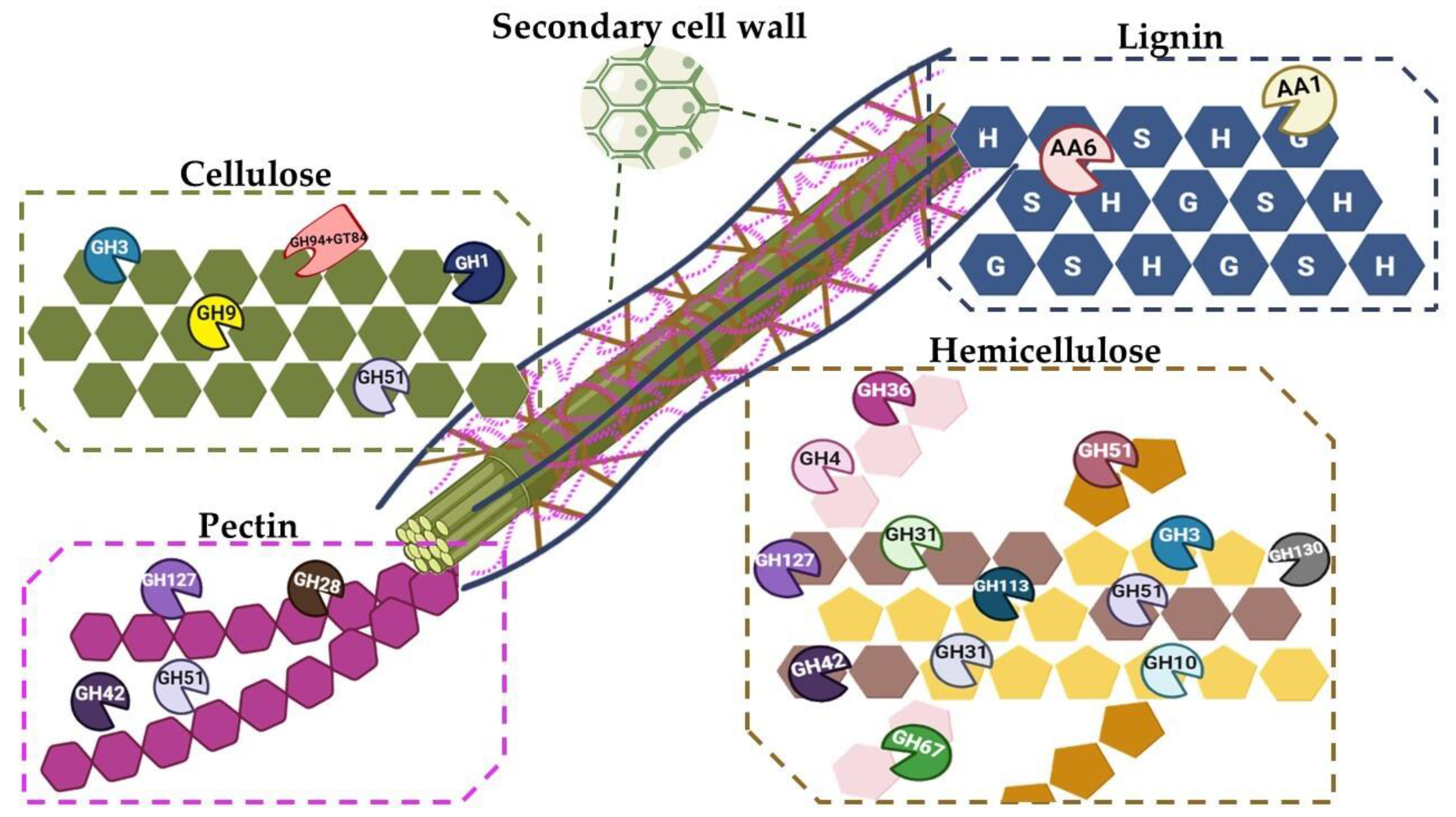 Ijms 24 00243 g001 Ijms 24 00243 g001