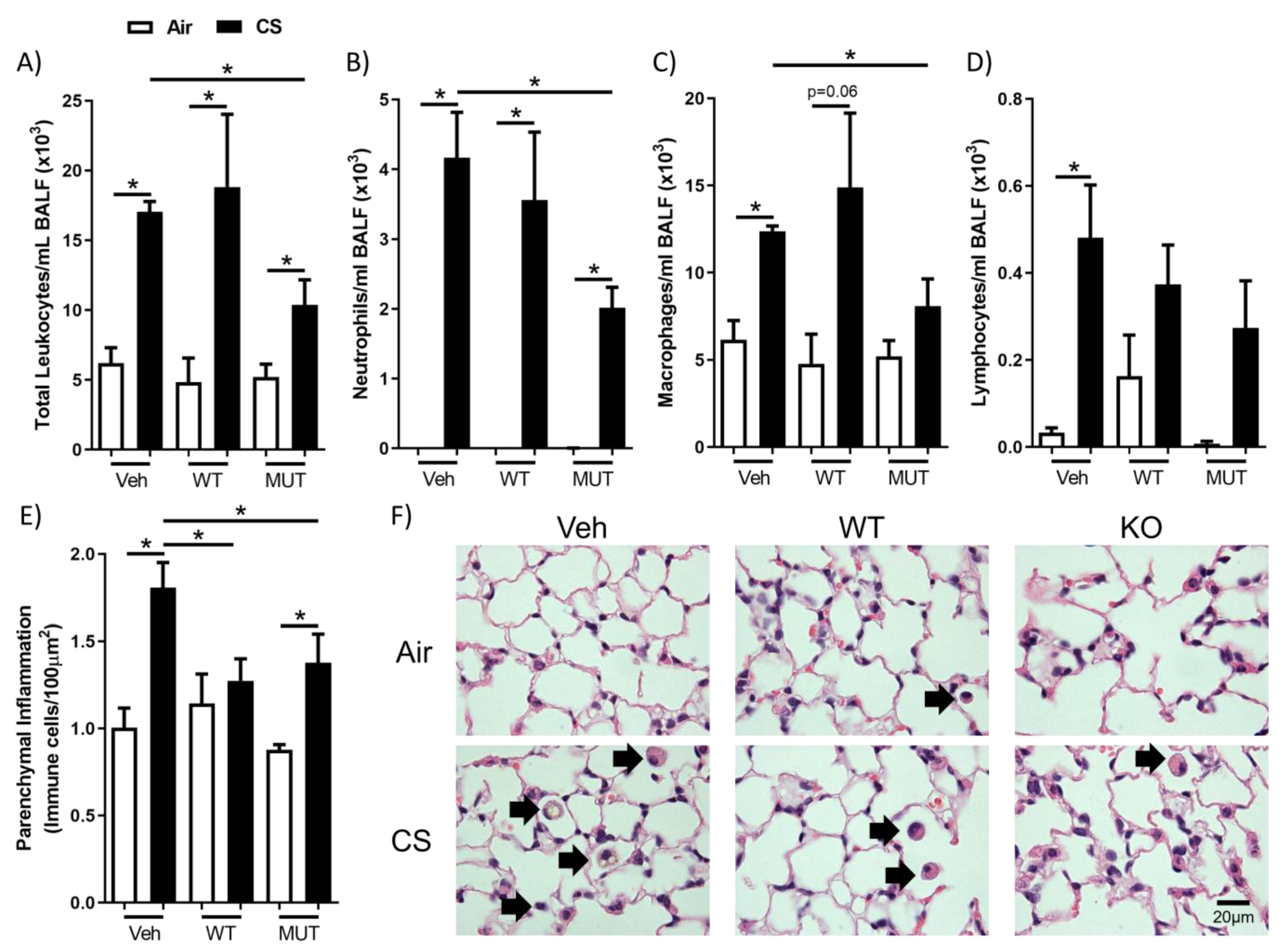 Ijms 24 00252 g001 Ijms 24 00252 g001