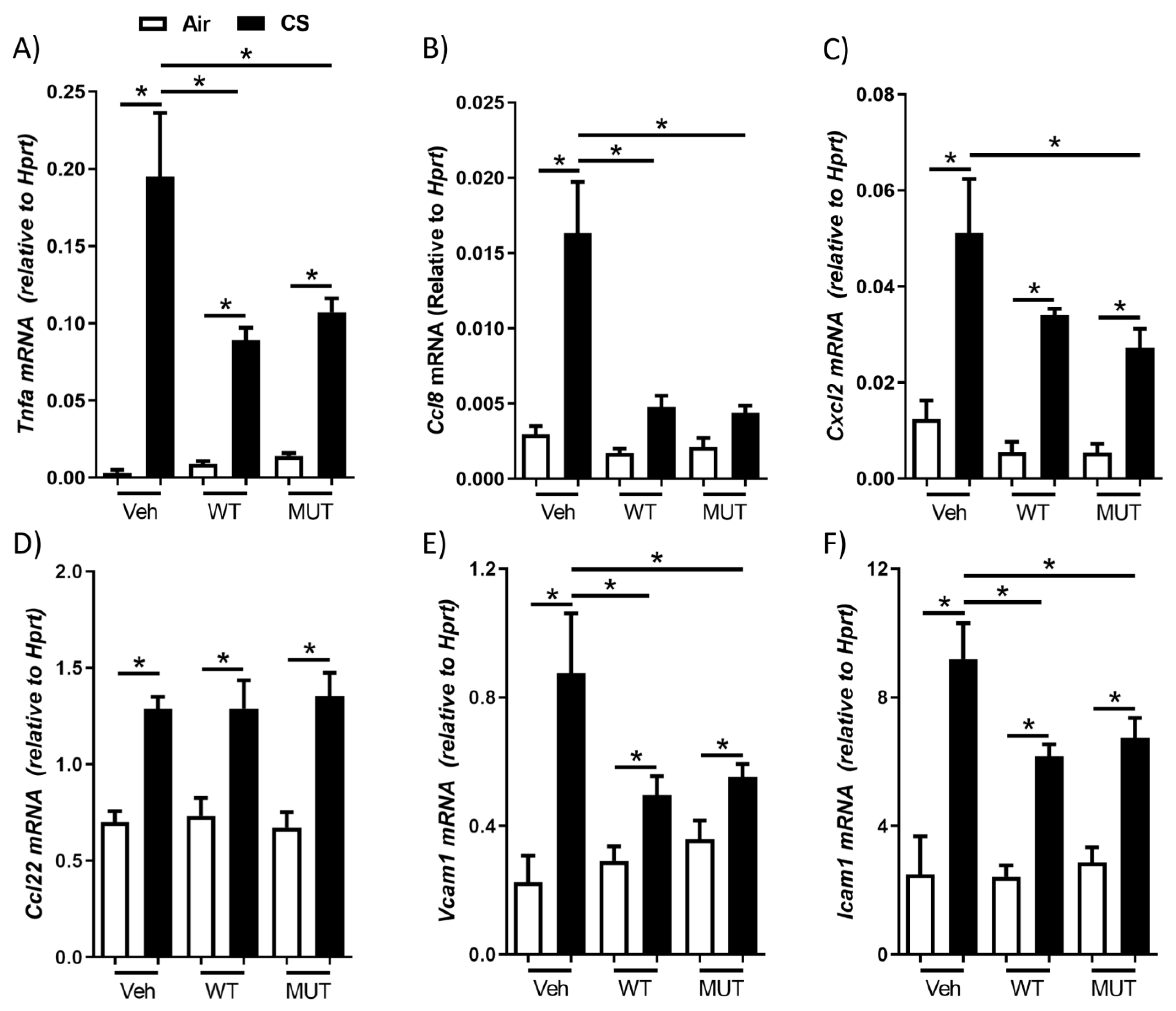 Ijms 24 00252 g002 Ijms 24 00252 g002
